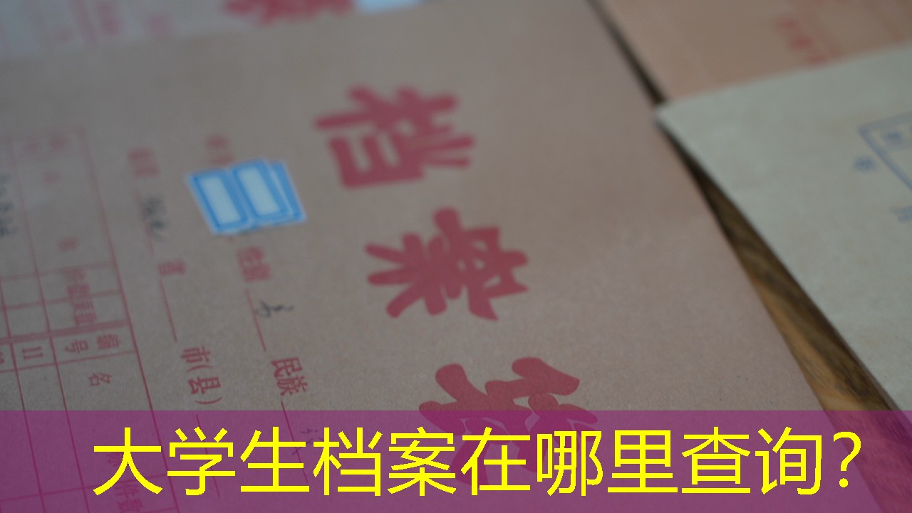 档案查询