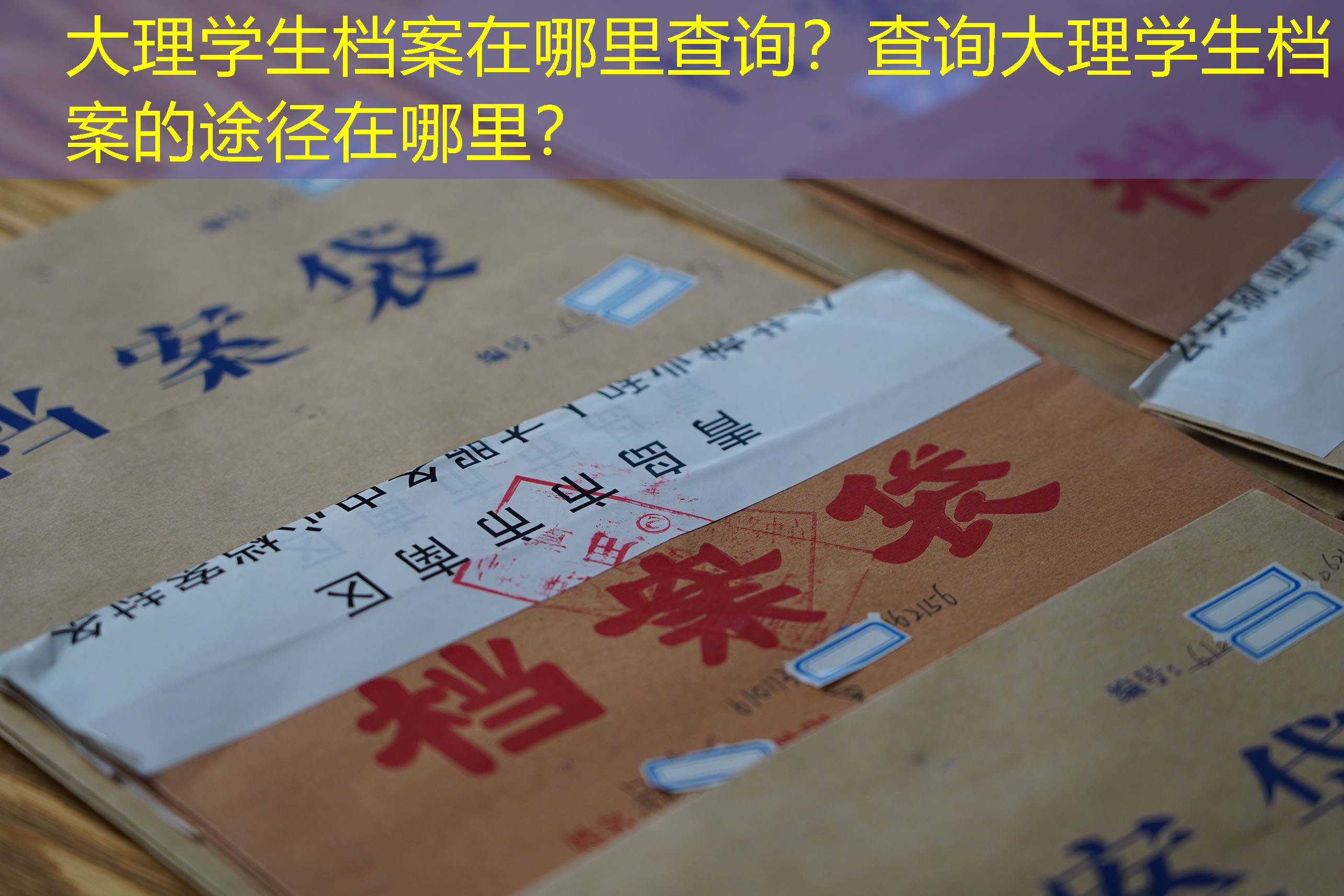 档案查询