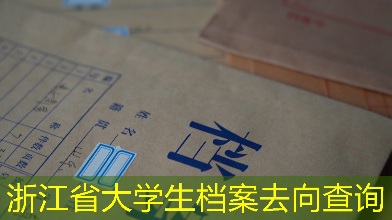 档案查询