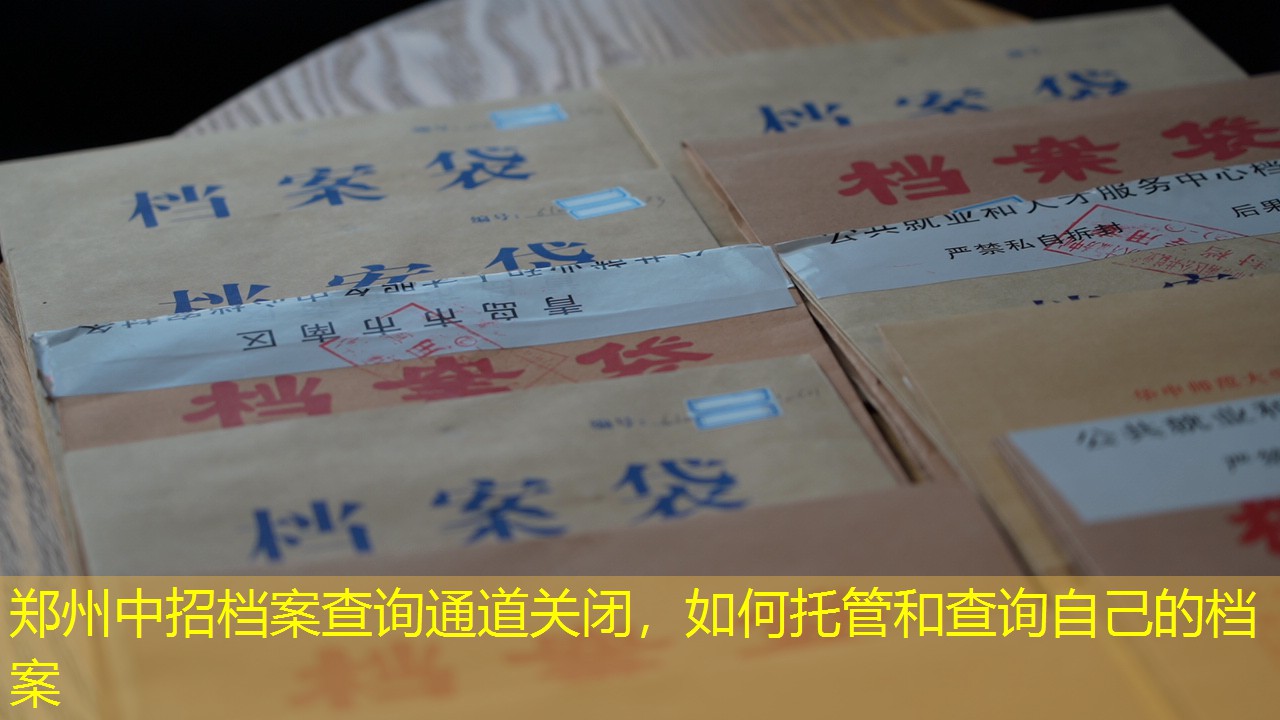 档案查询