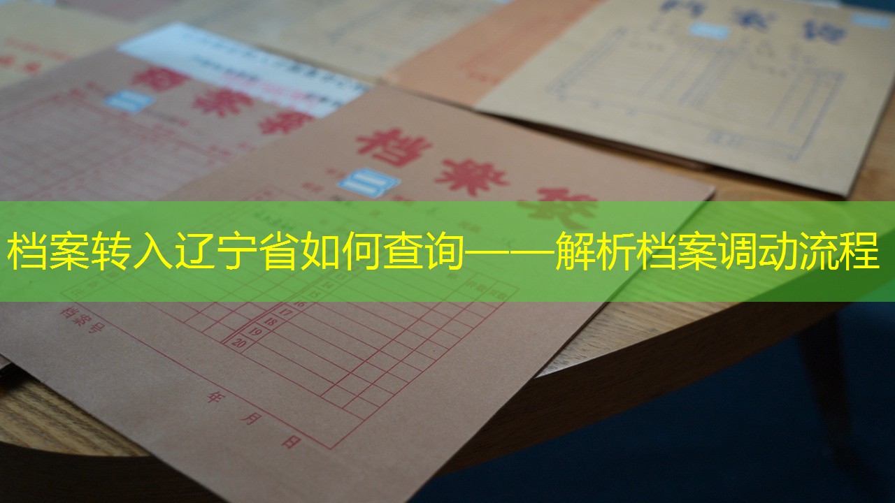 档案查询