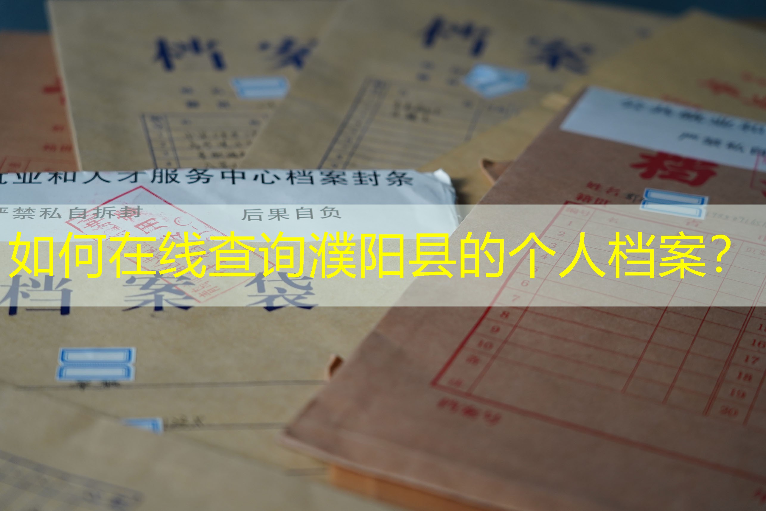 档案查询
