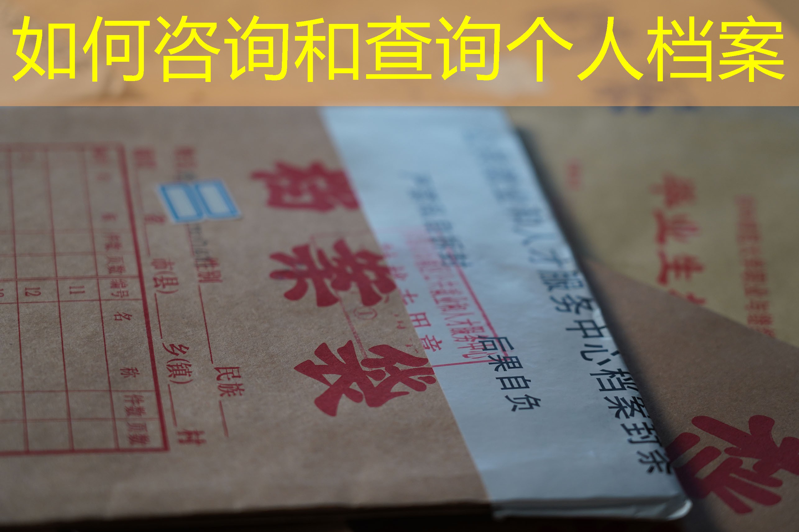 档案查询