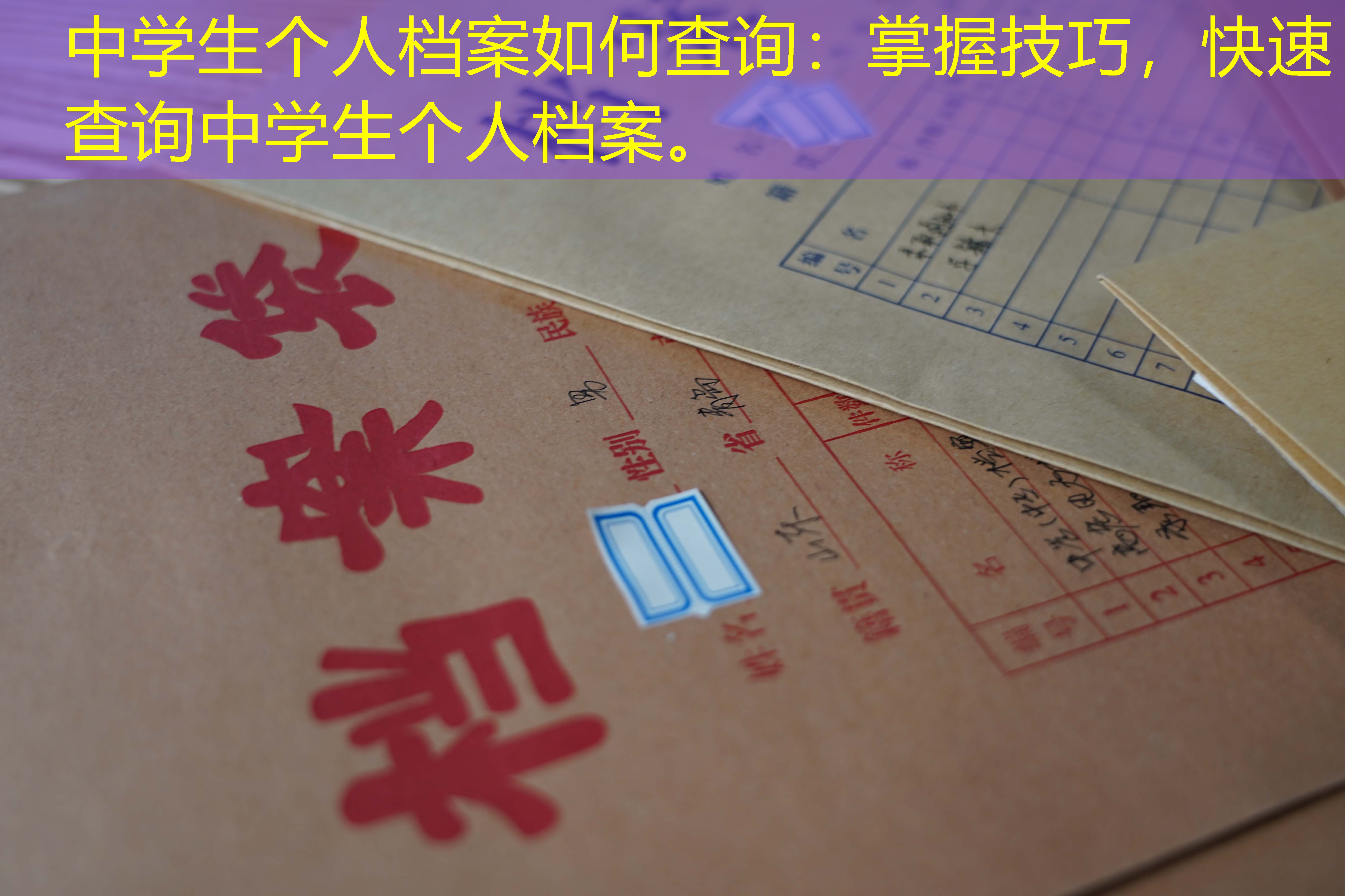 档案查询
