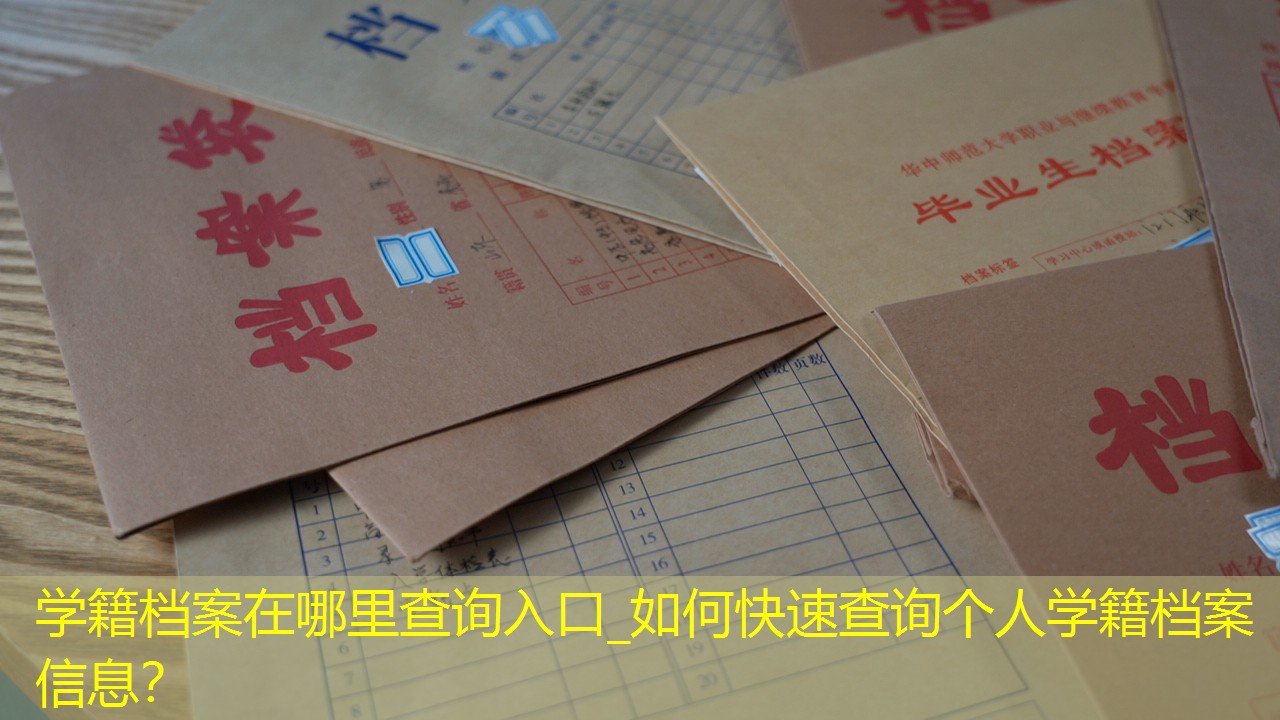 档案查询
