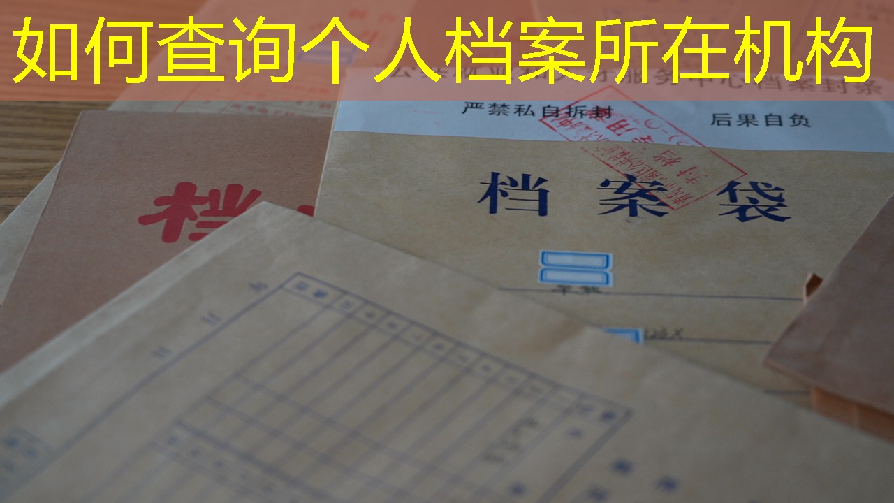 档案查询
