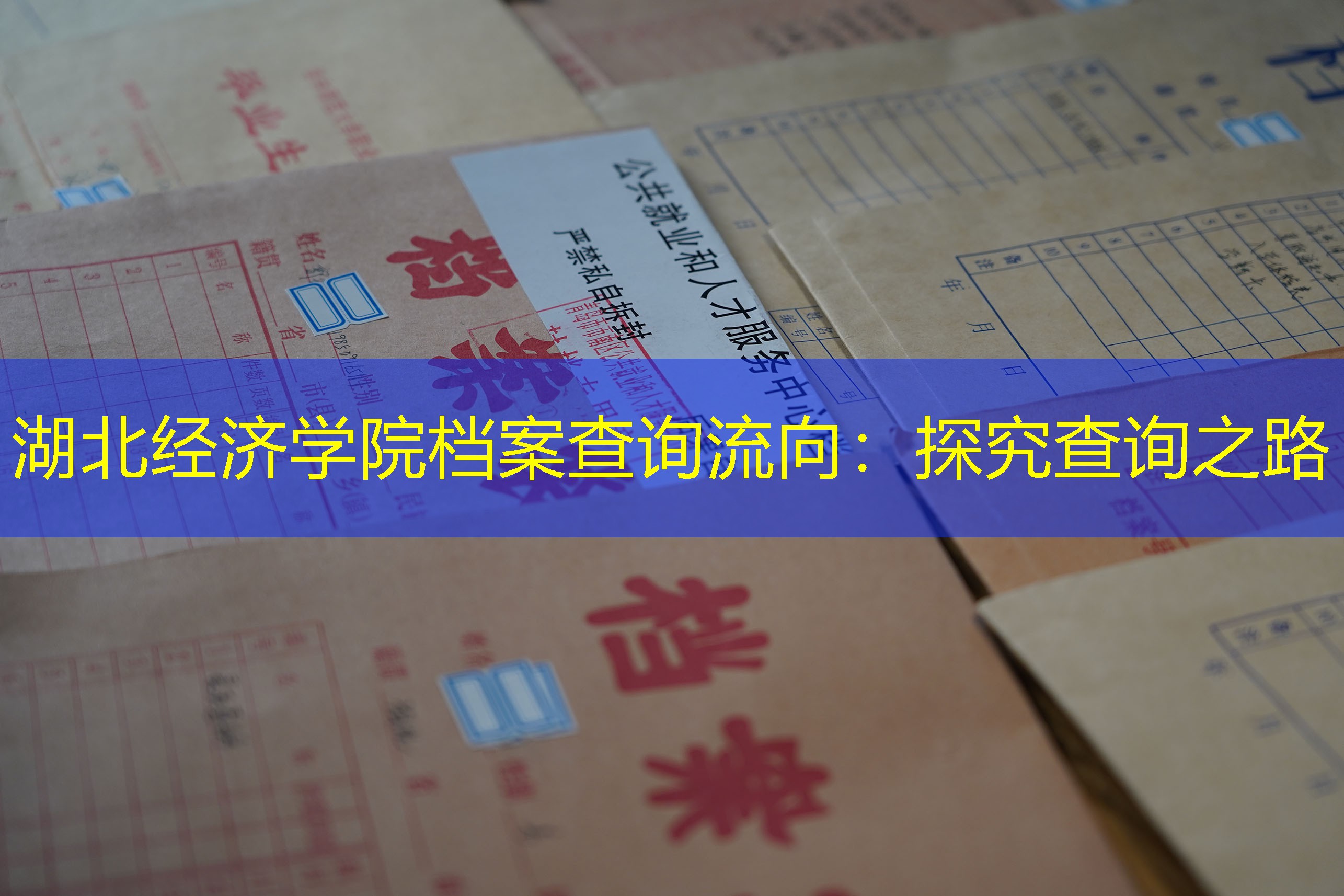 档案查询