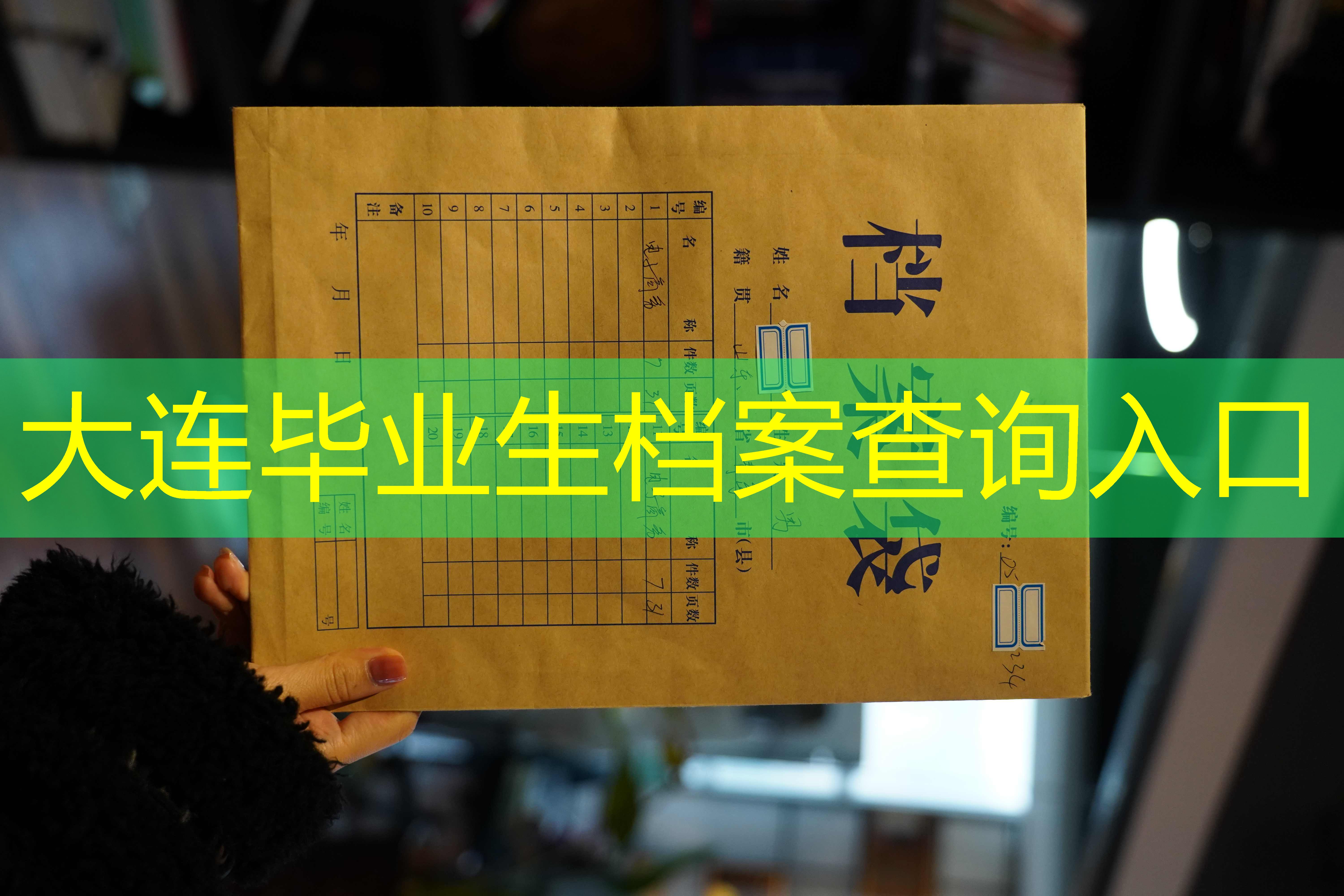 档案查询