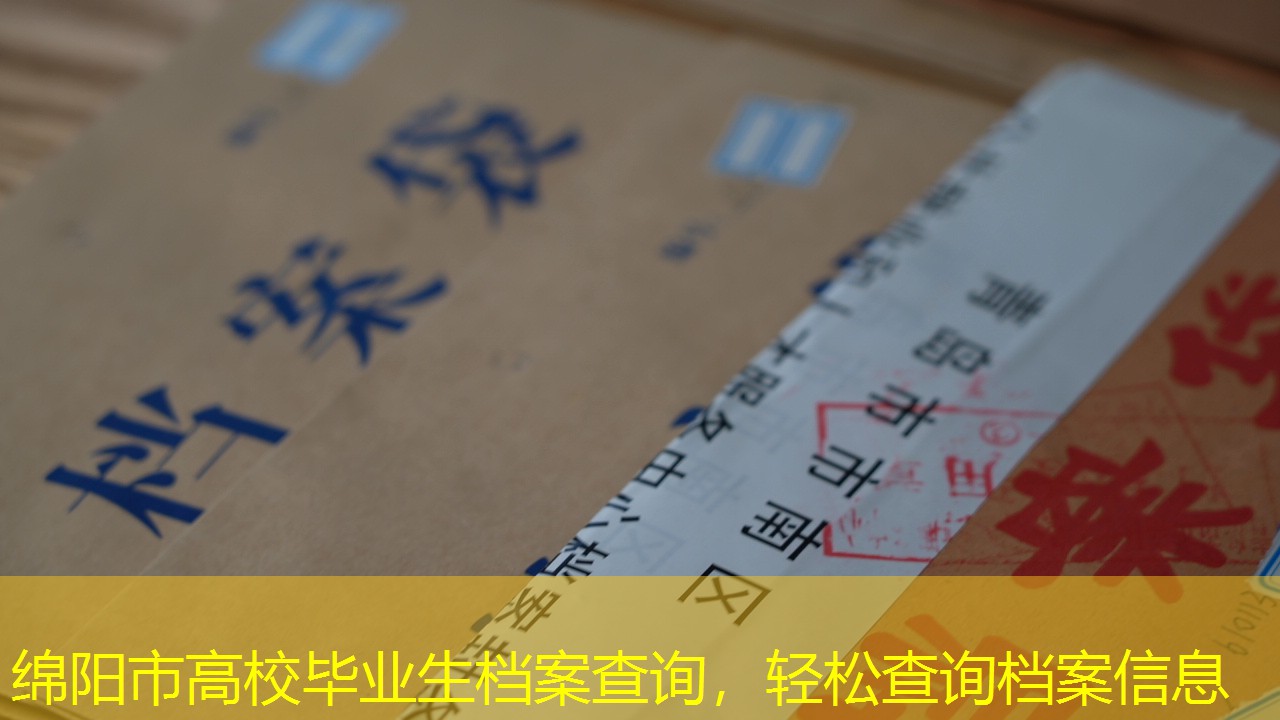 档案查询
