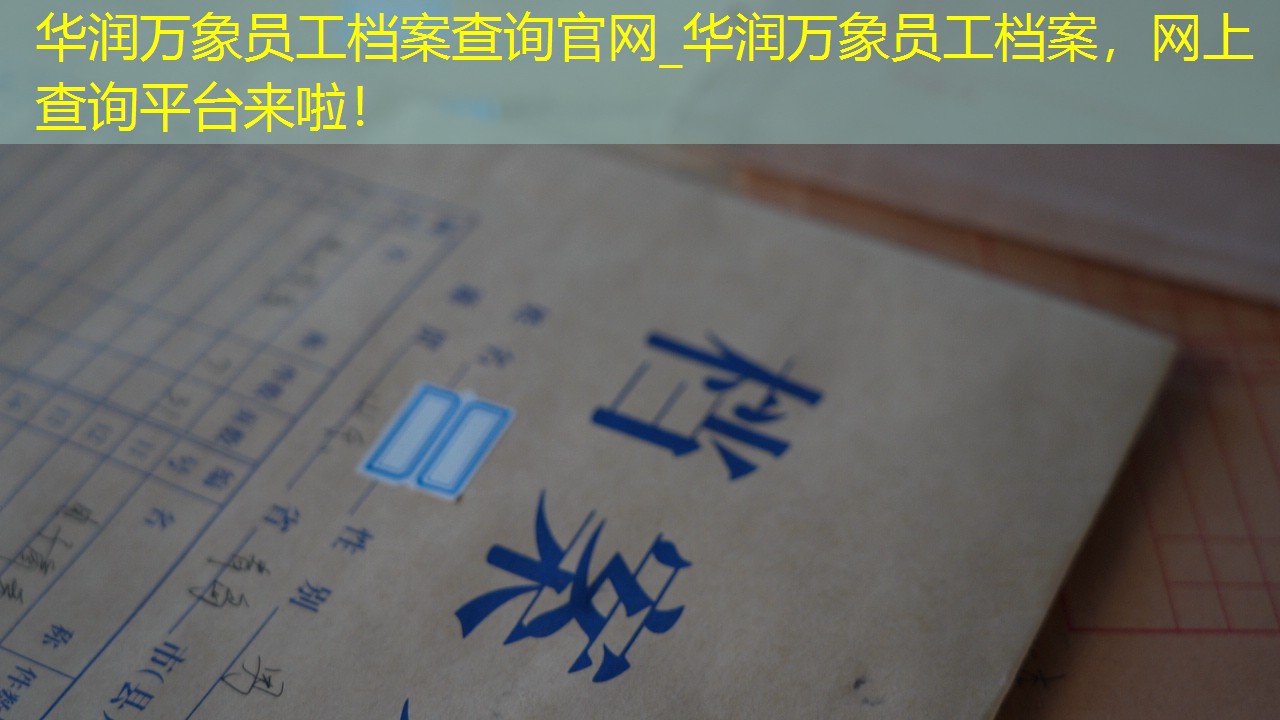 档案查询