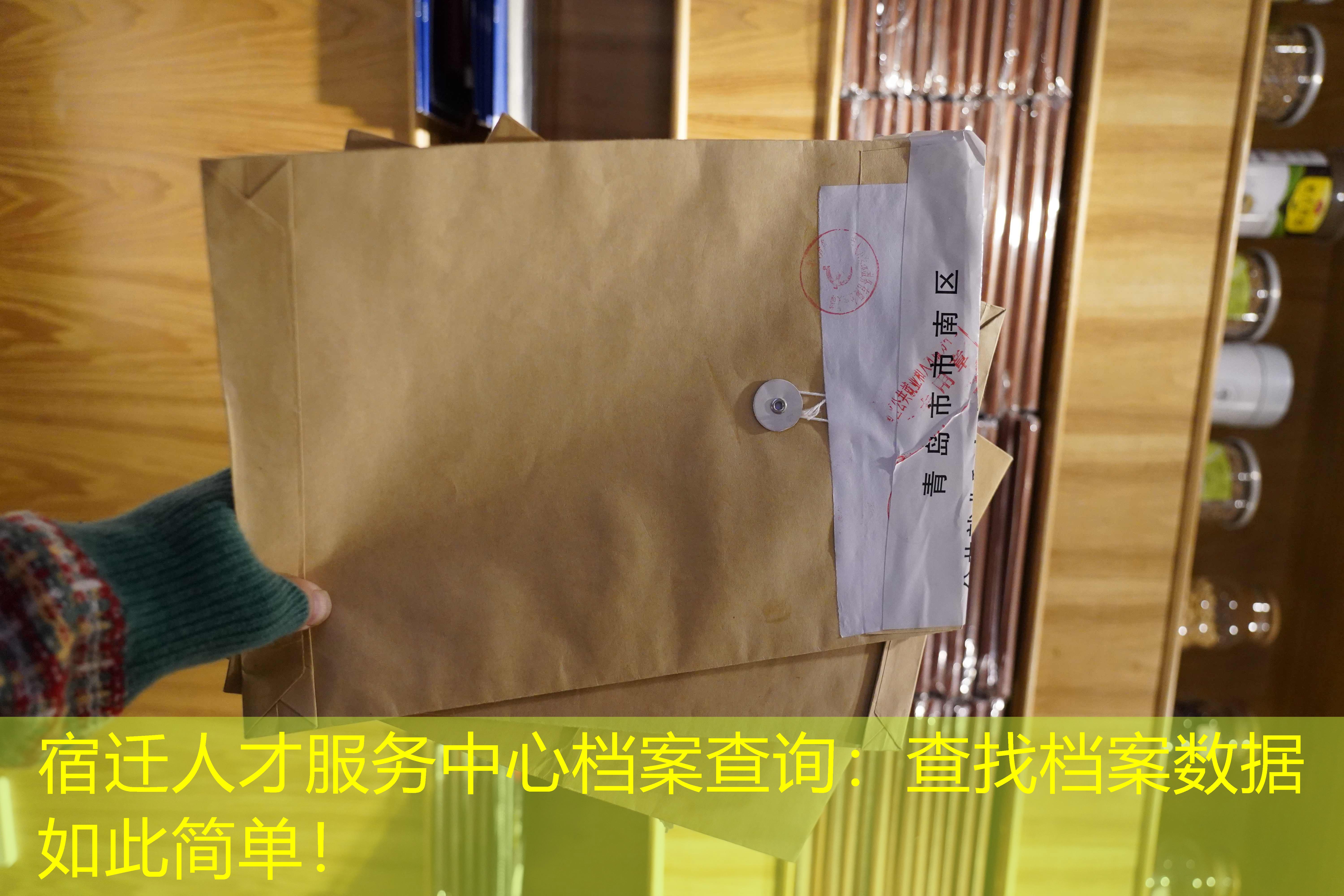 档案查询