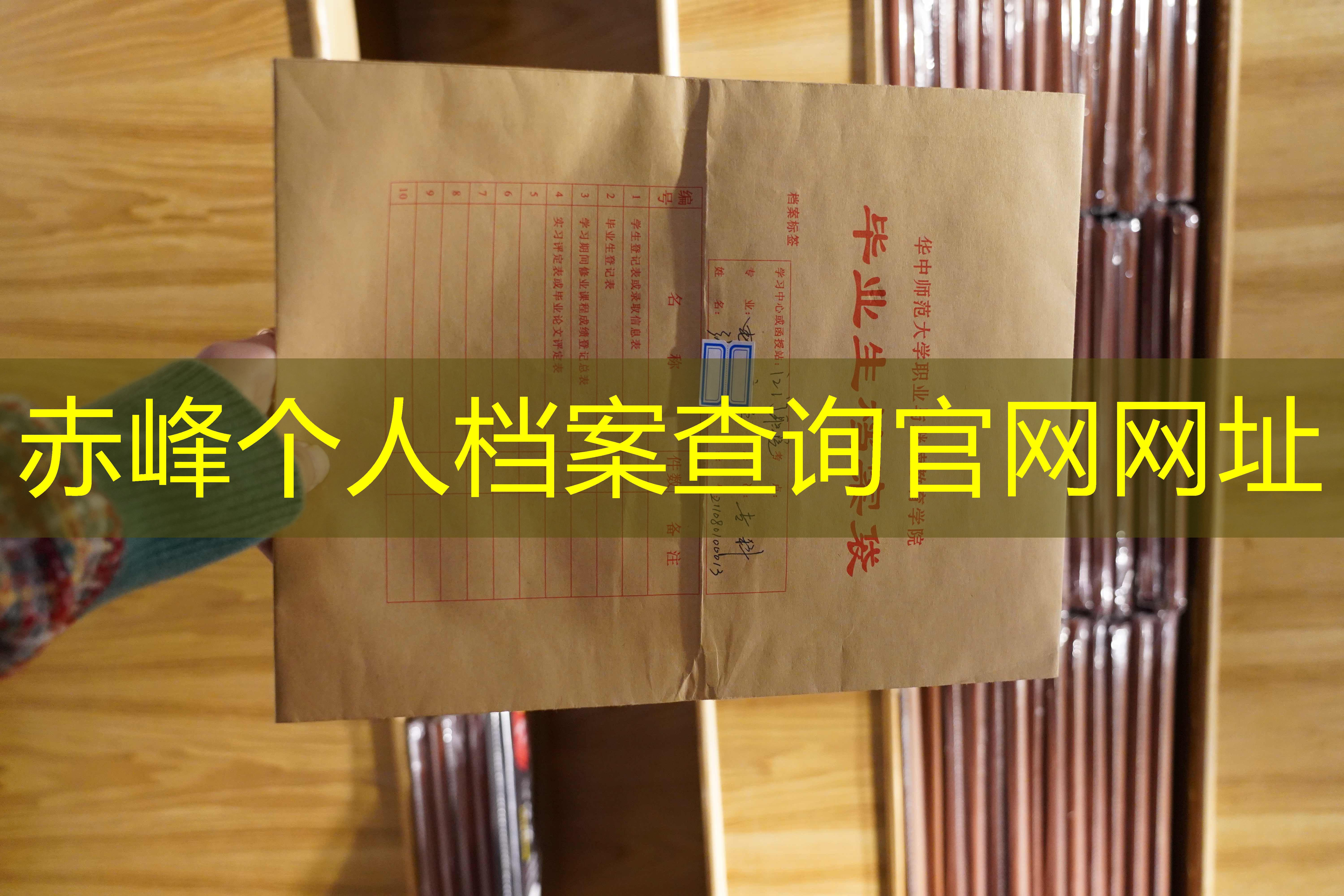 档案查询