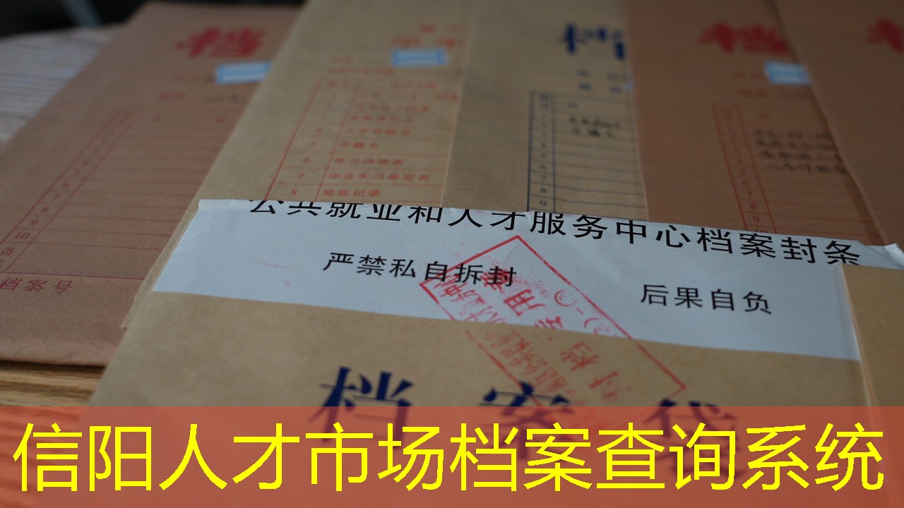 档案查询