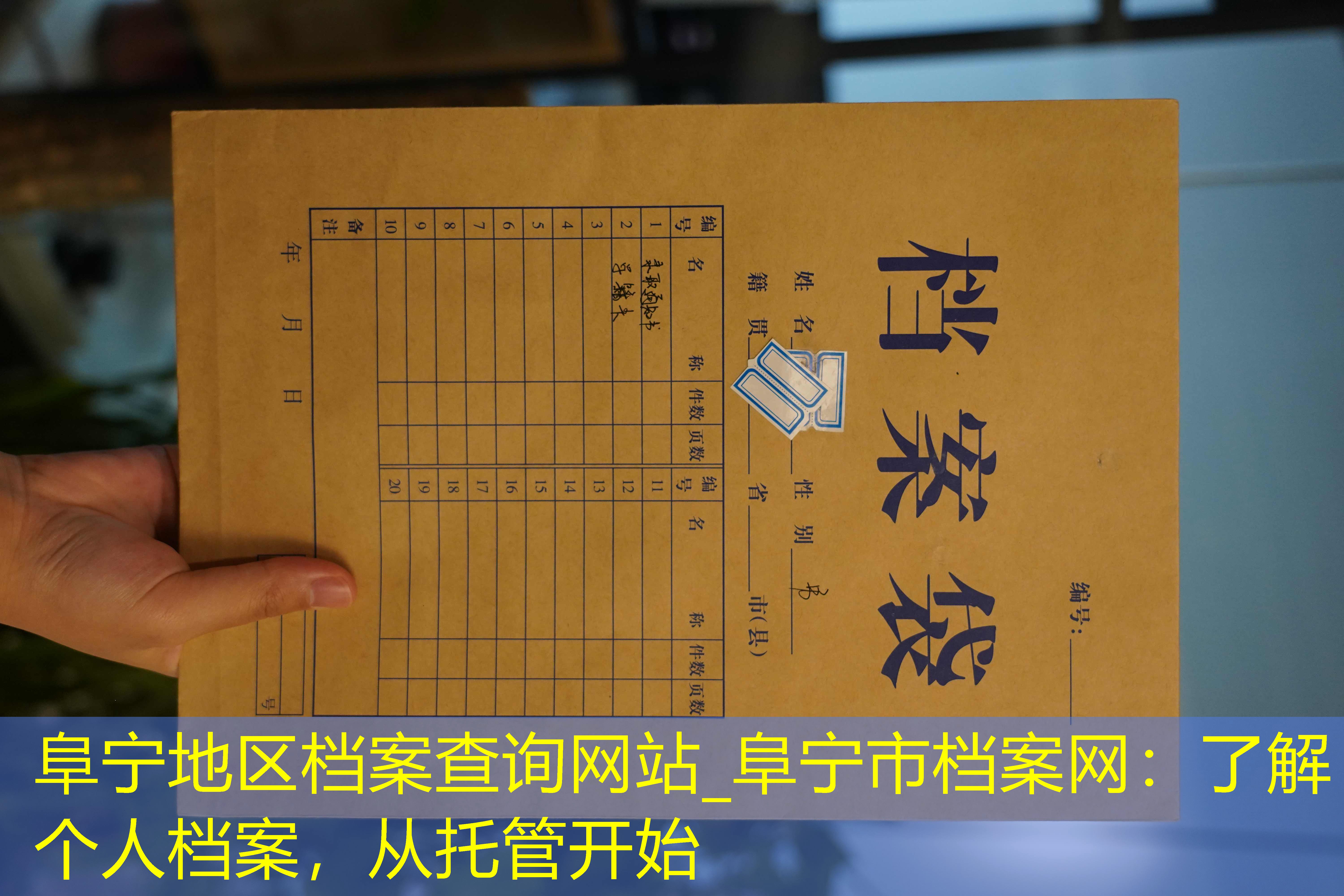 档案查询