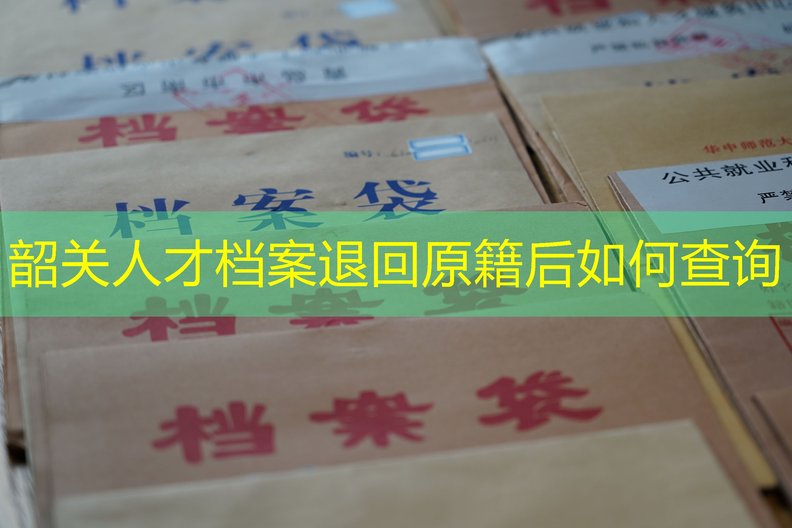 档案查询