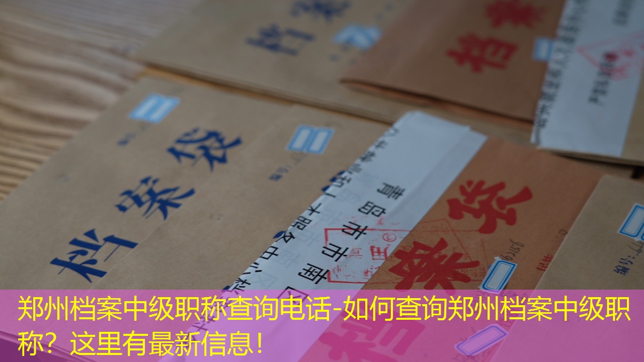 档案查询