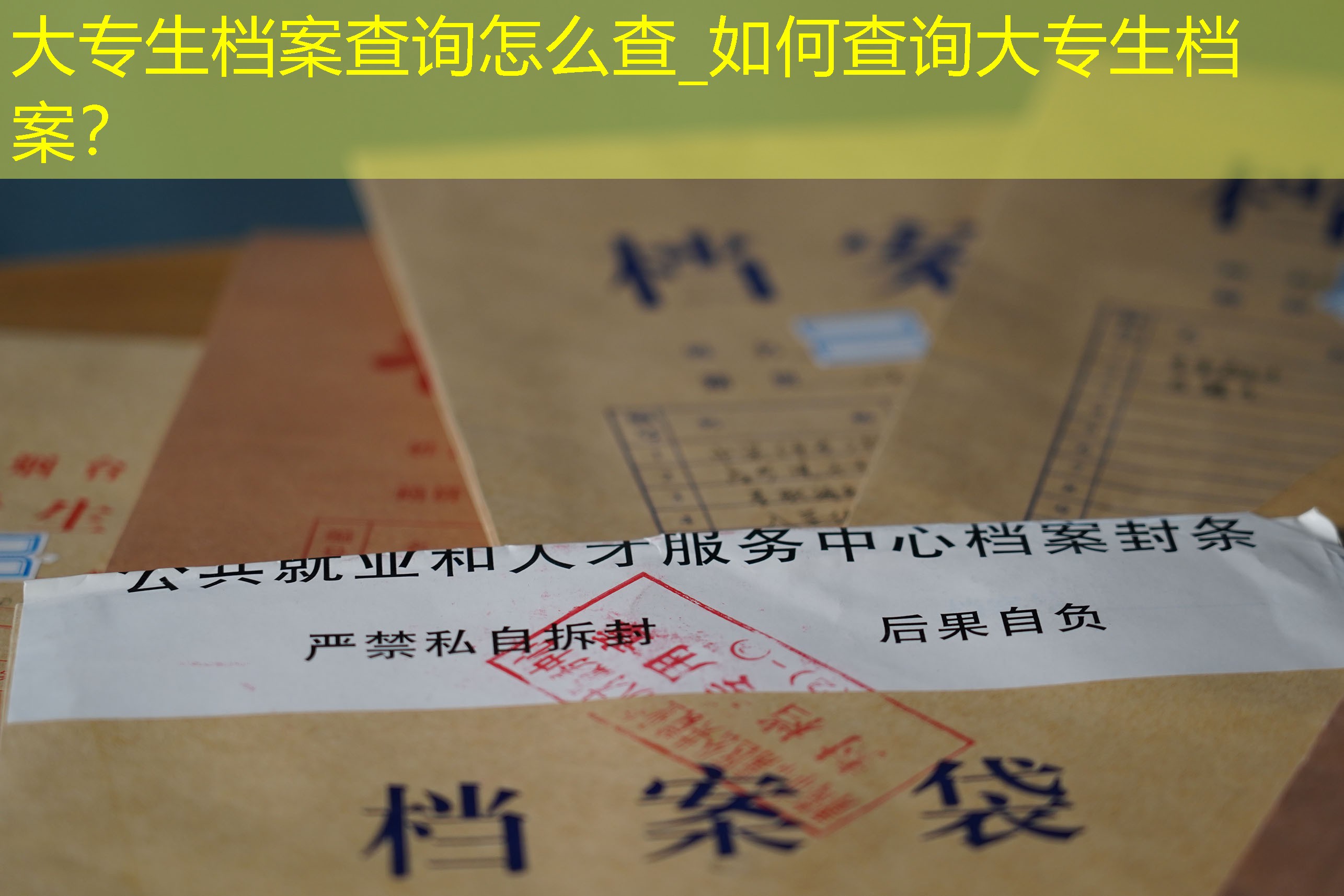 档案查询