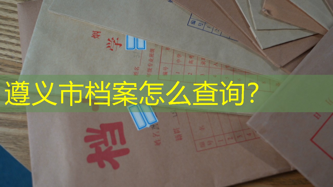 档案查询