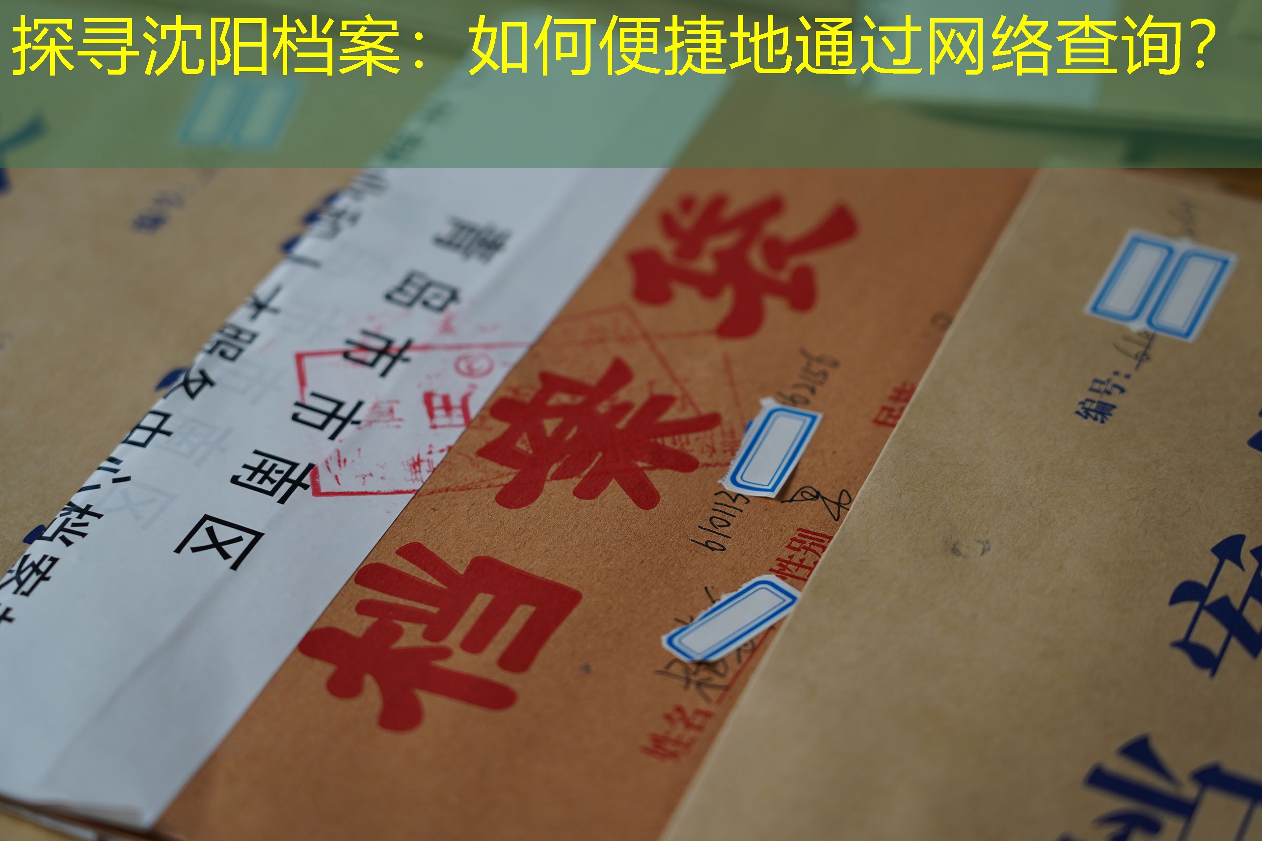 档案查询