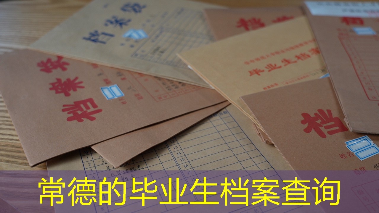 档案查询