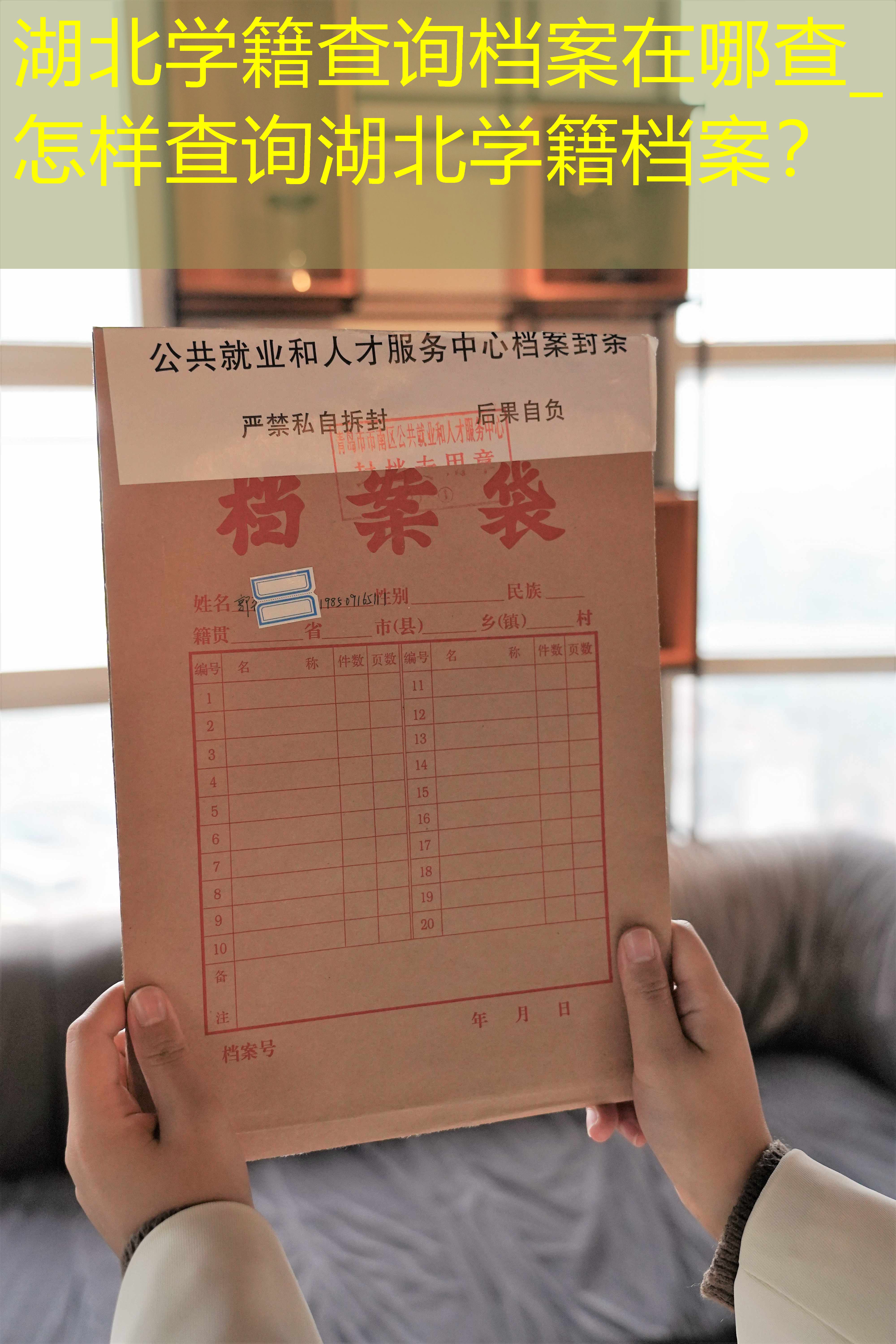 档案查询