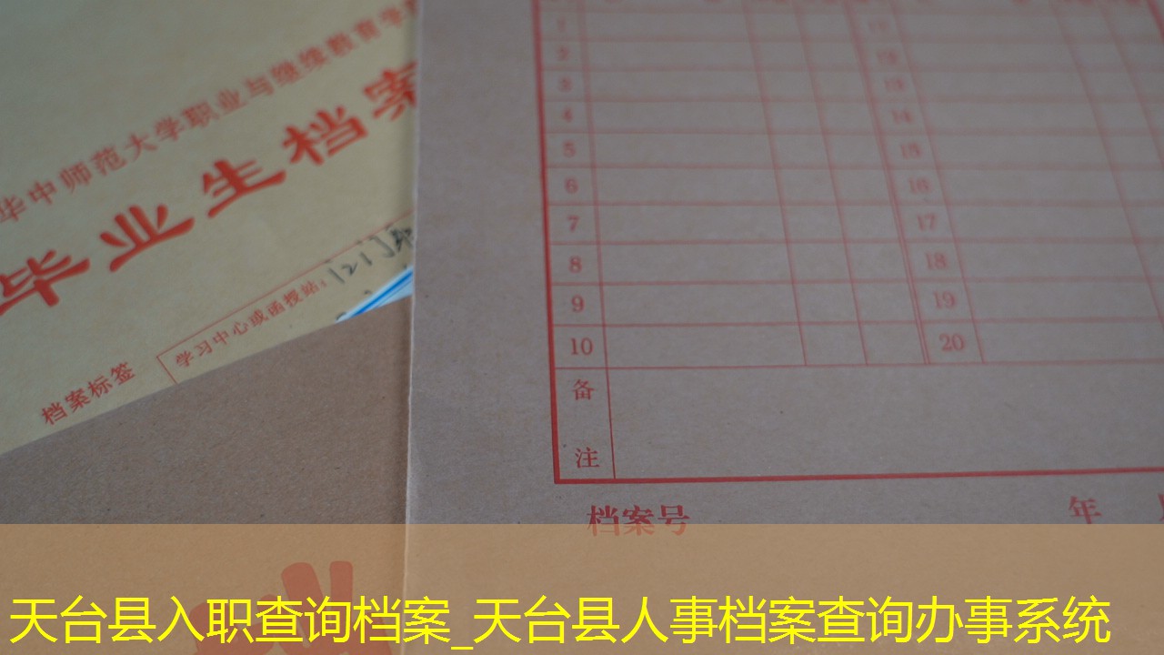 档案查询