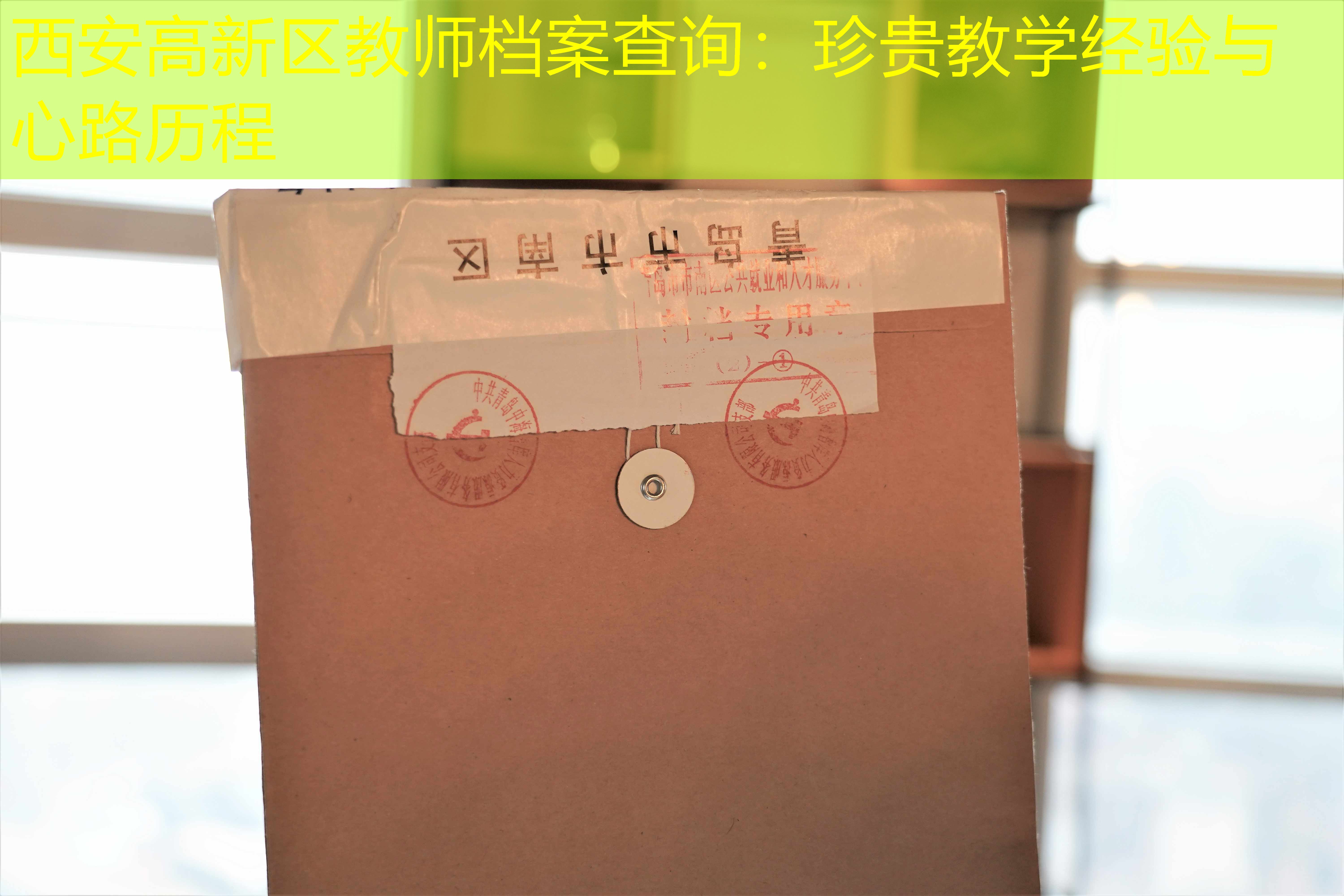 档案查询