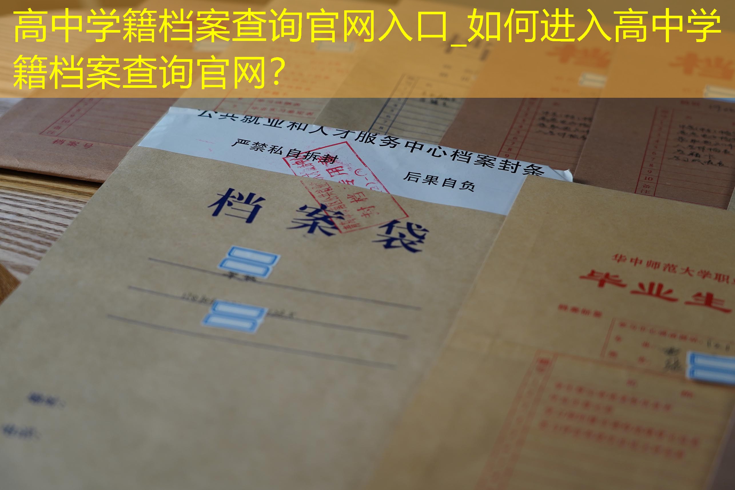 档案查询