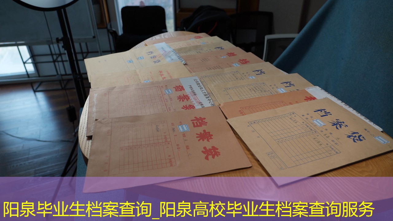 档案查询