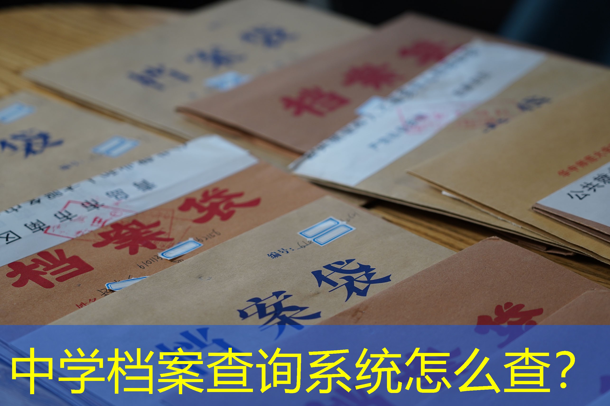 档案查询