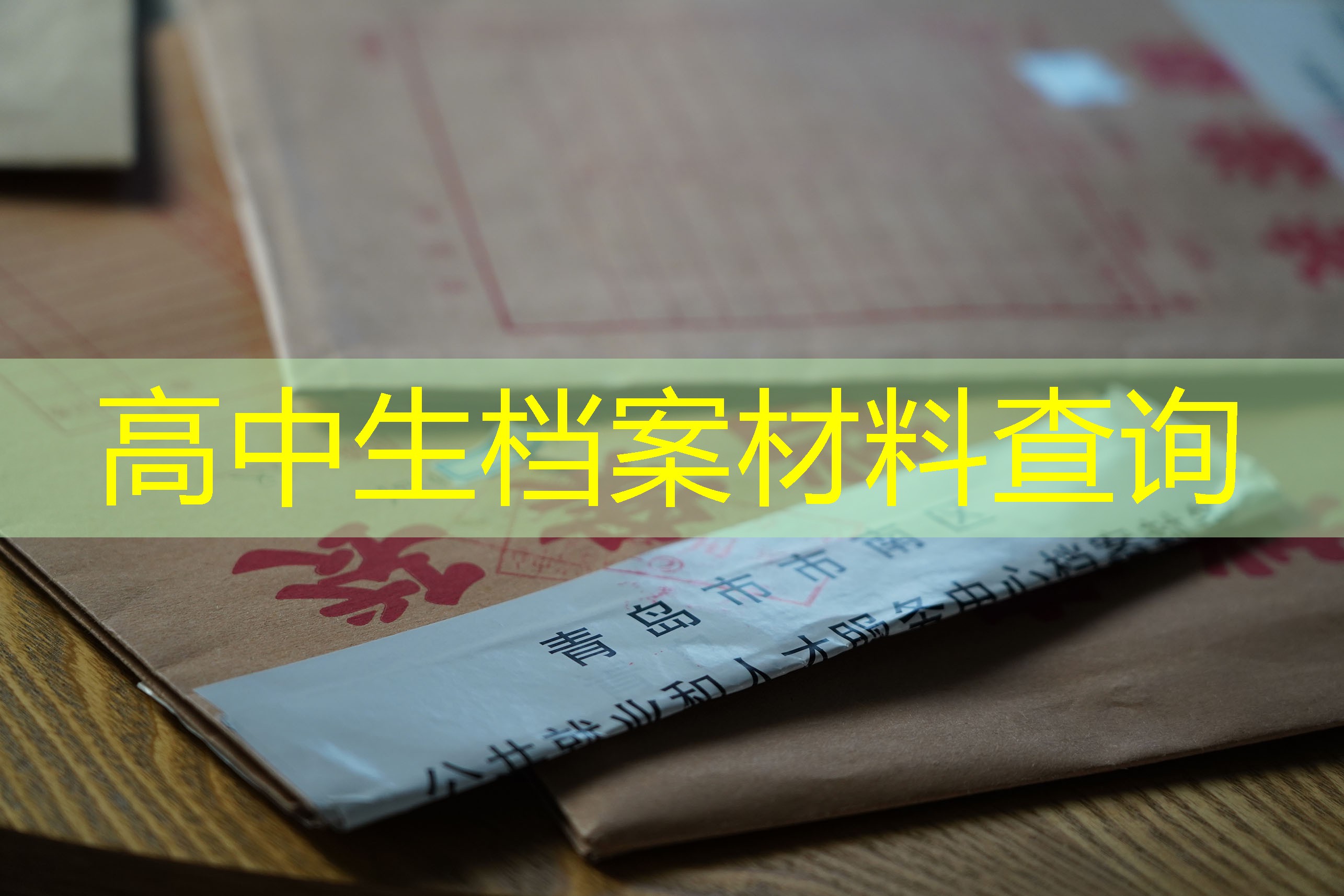 档案查询
