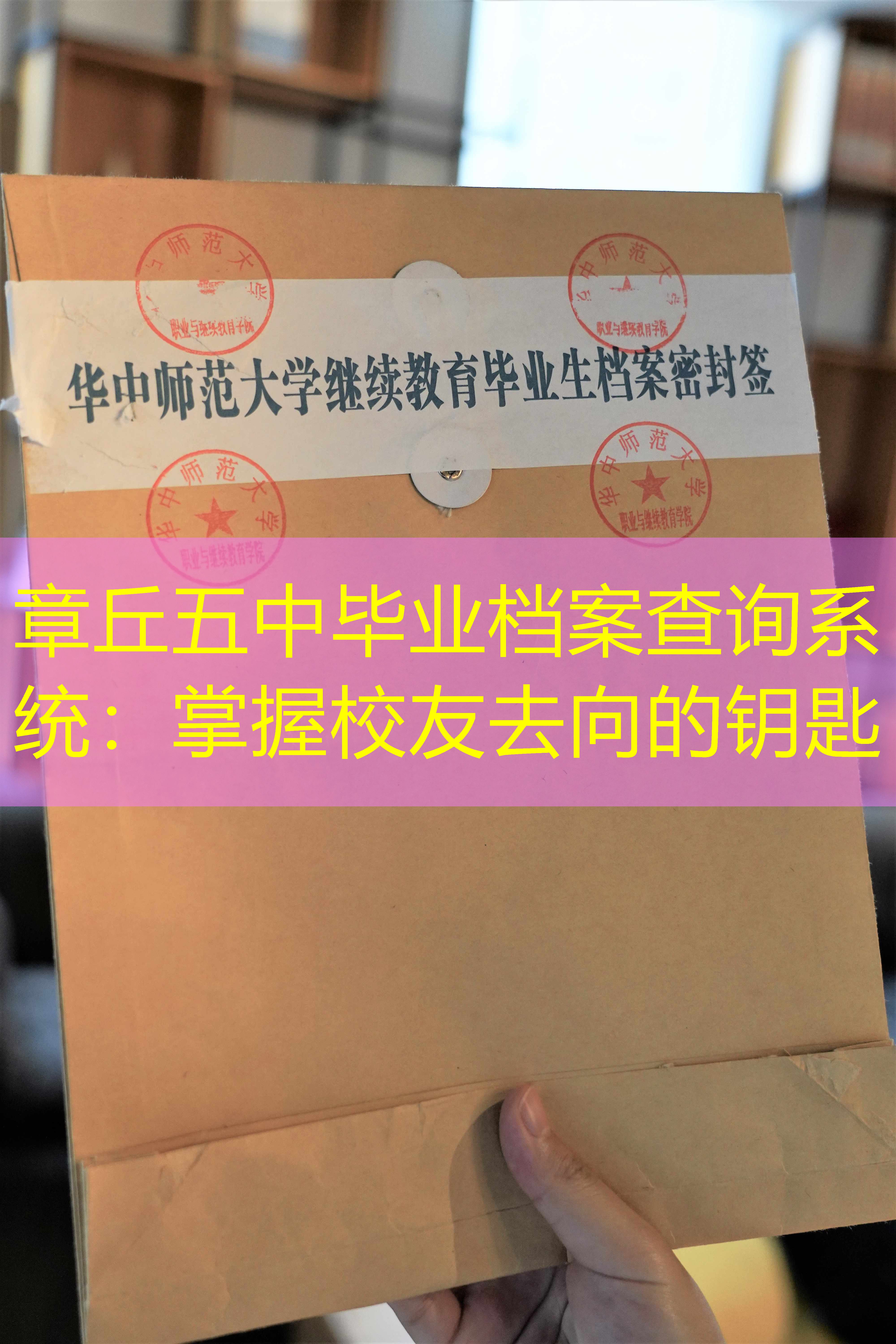 档案查询