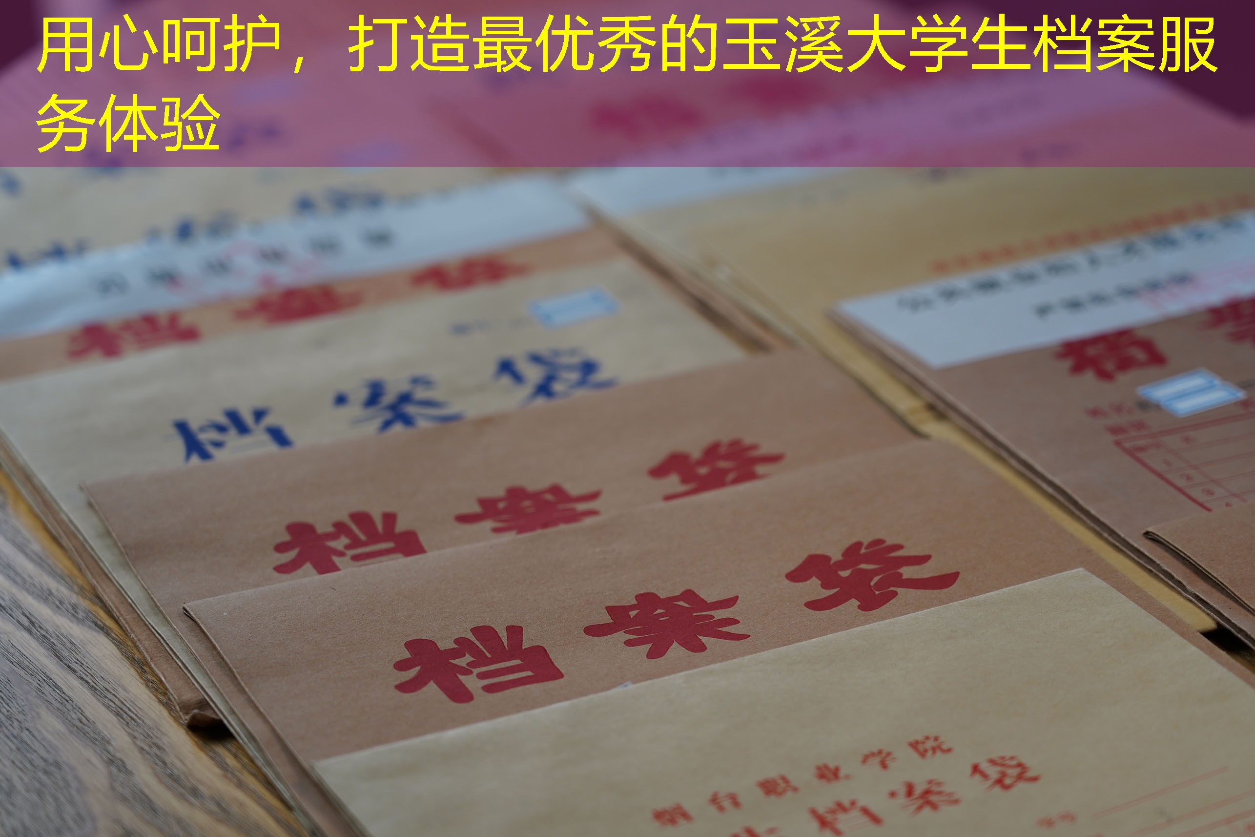 档案查询