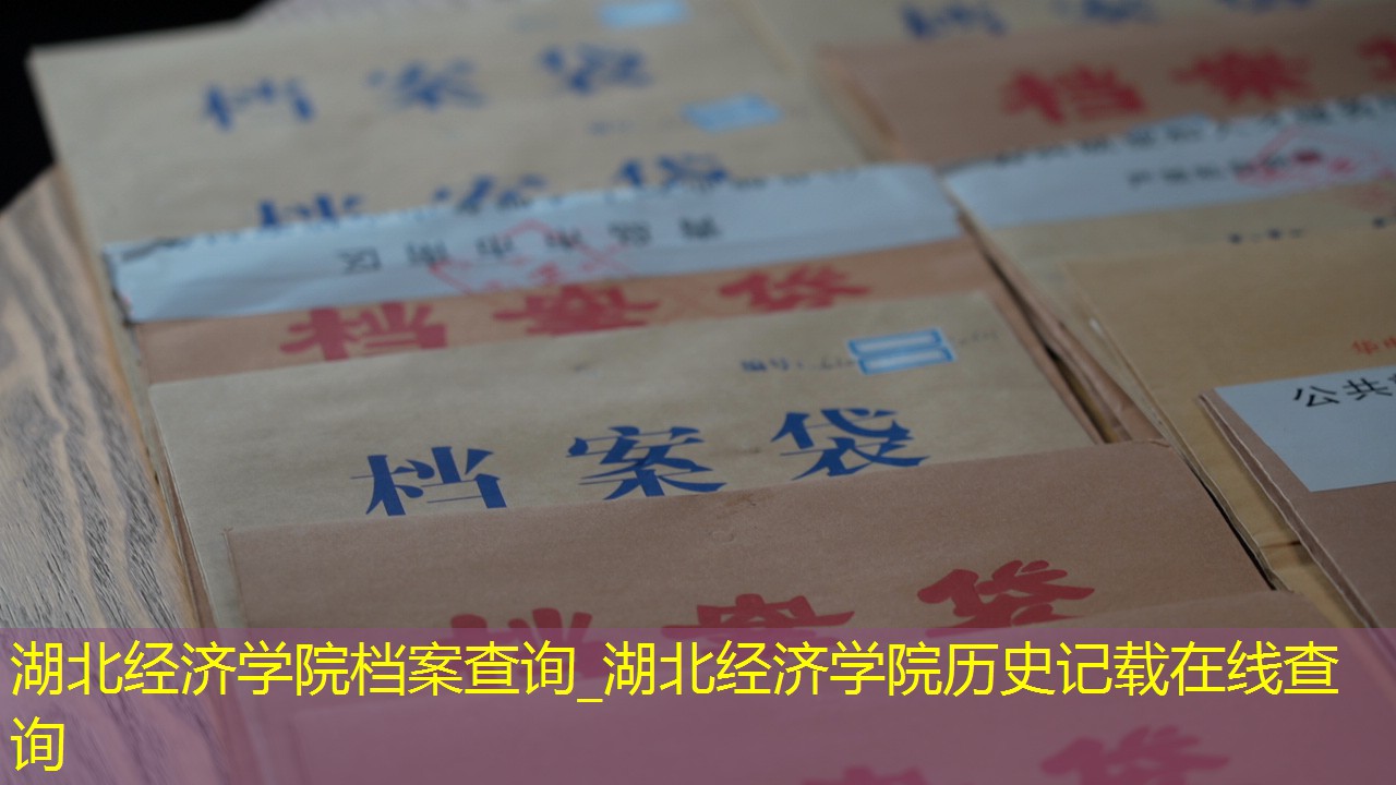 档案查询