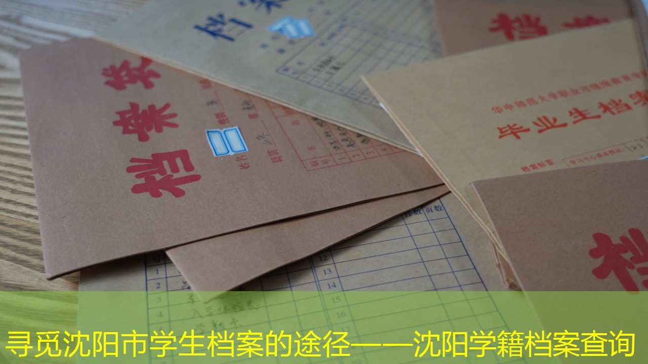 档案查询