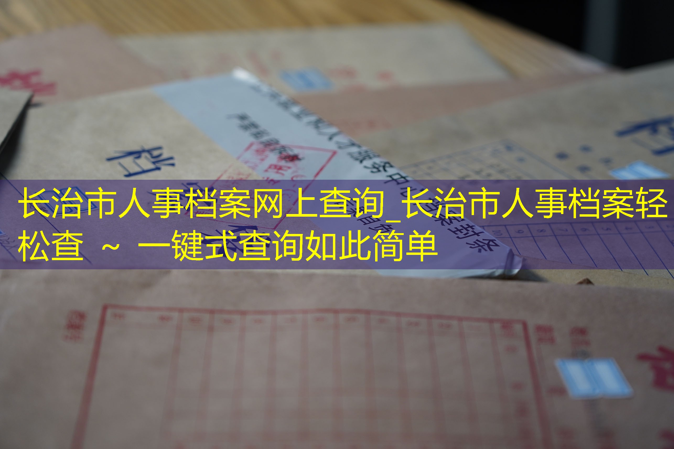 档案查询