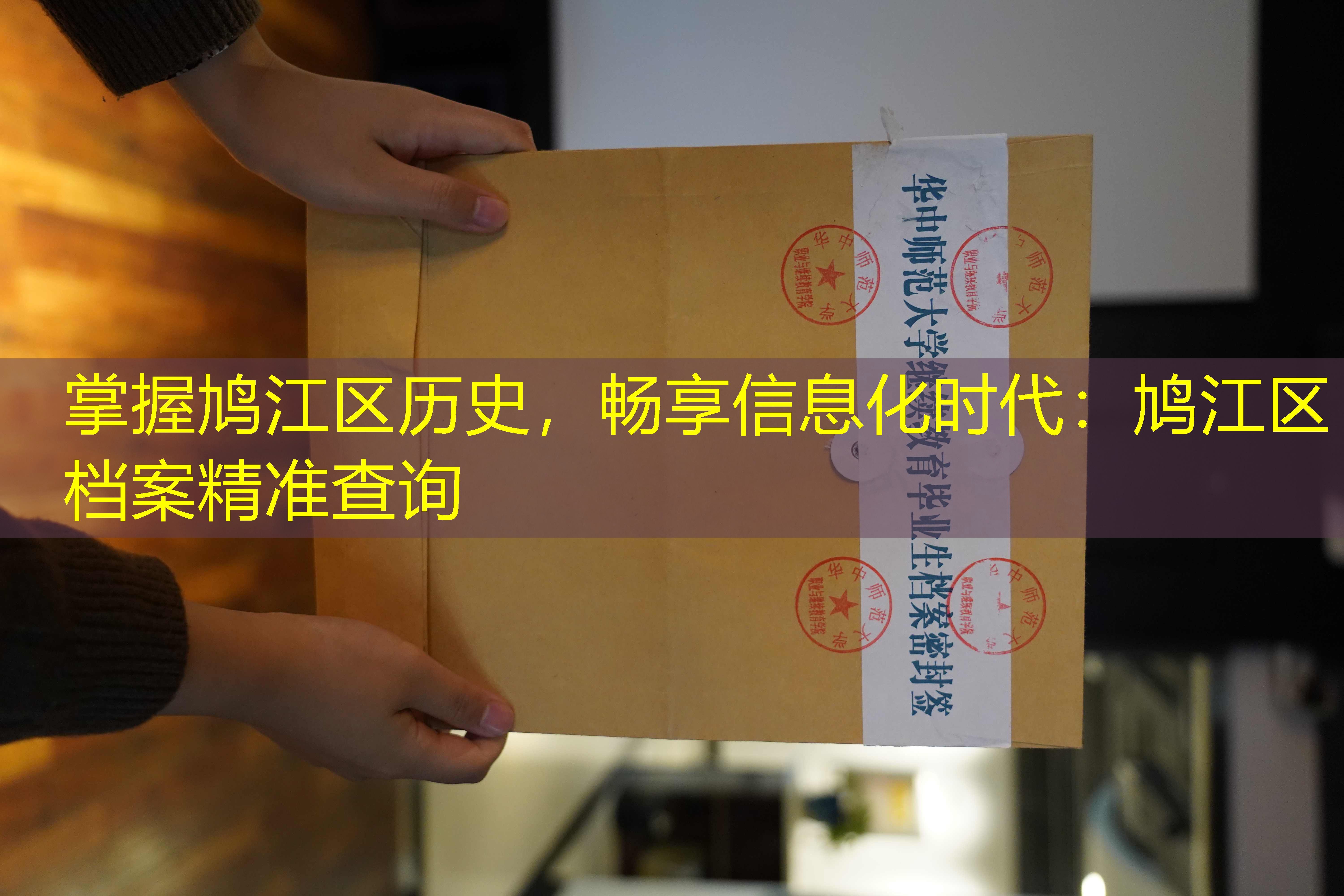 档案查询