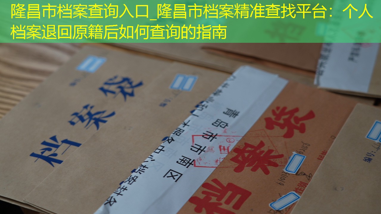 档案查询