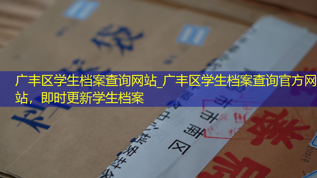 档案查询