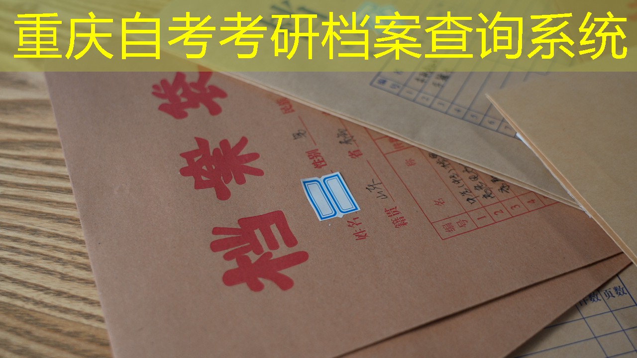 档案查询