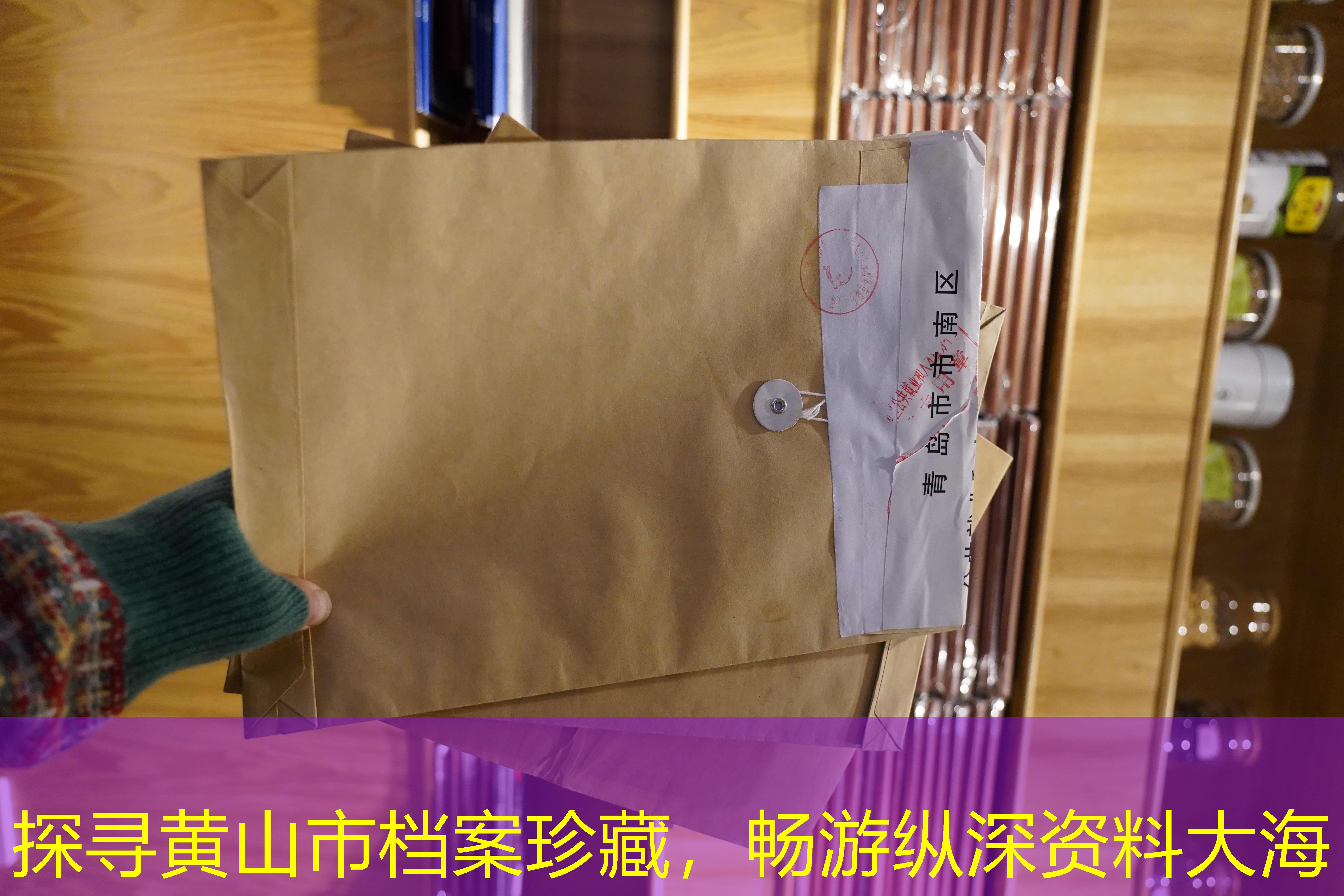 档案查询