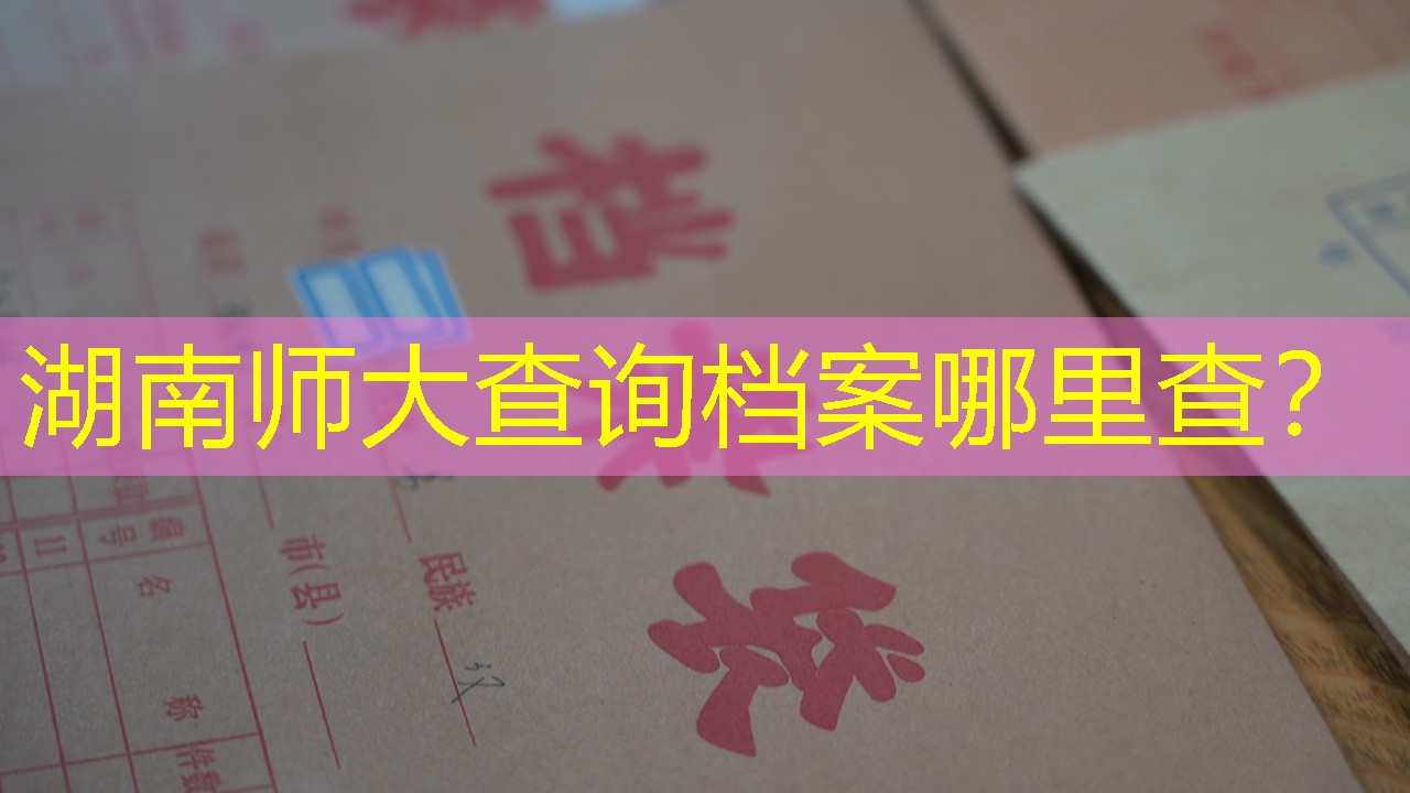 档案查询