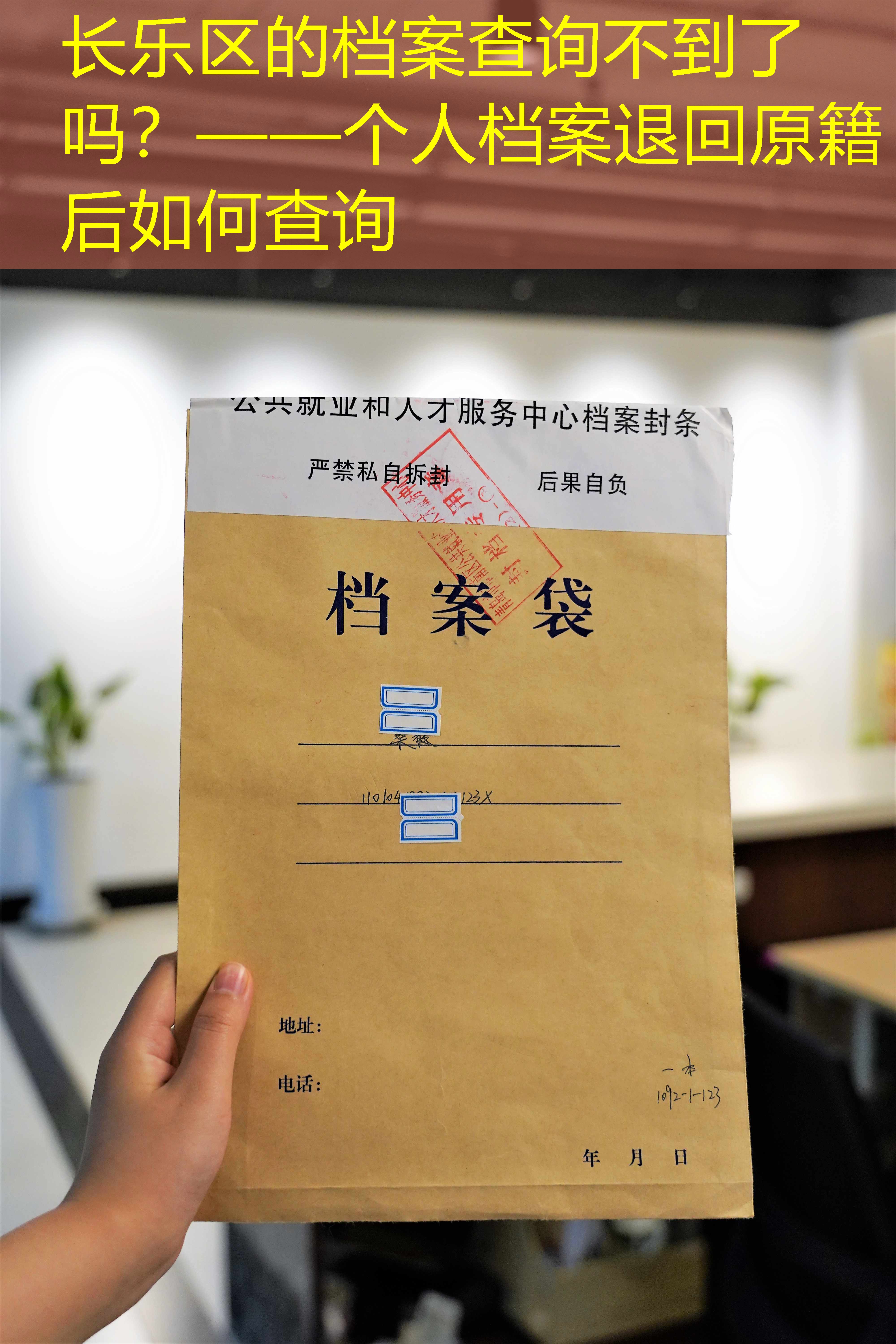 档案查询
