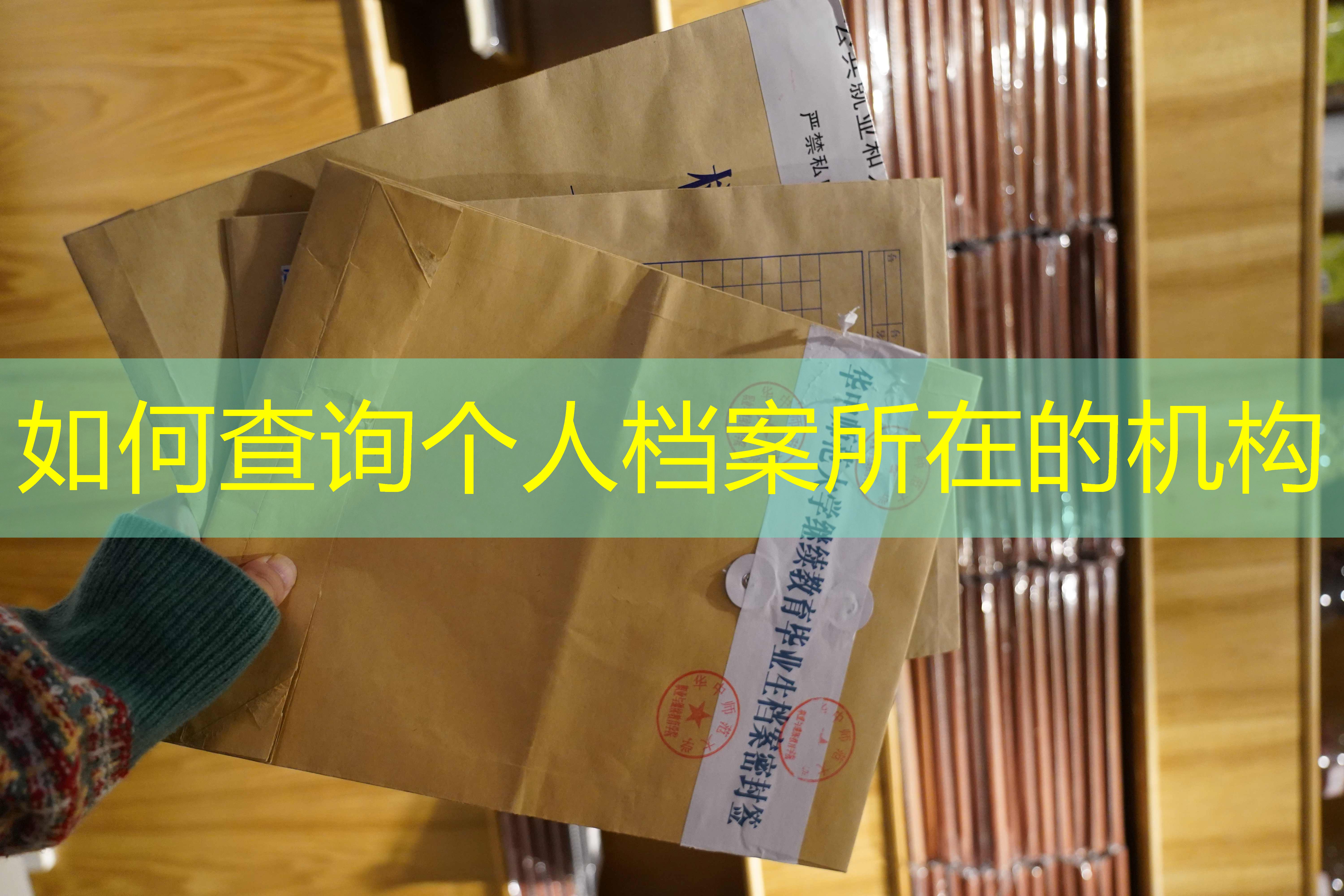 档案查询