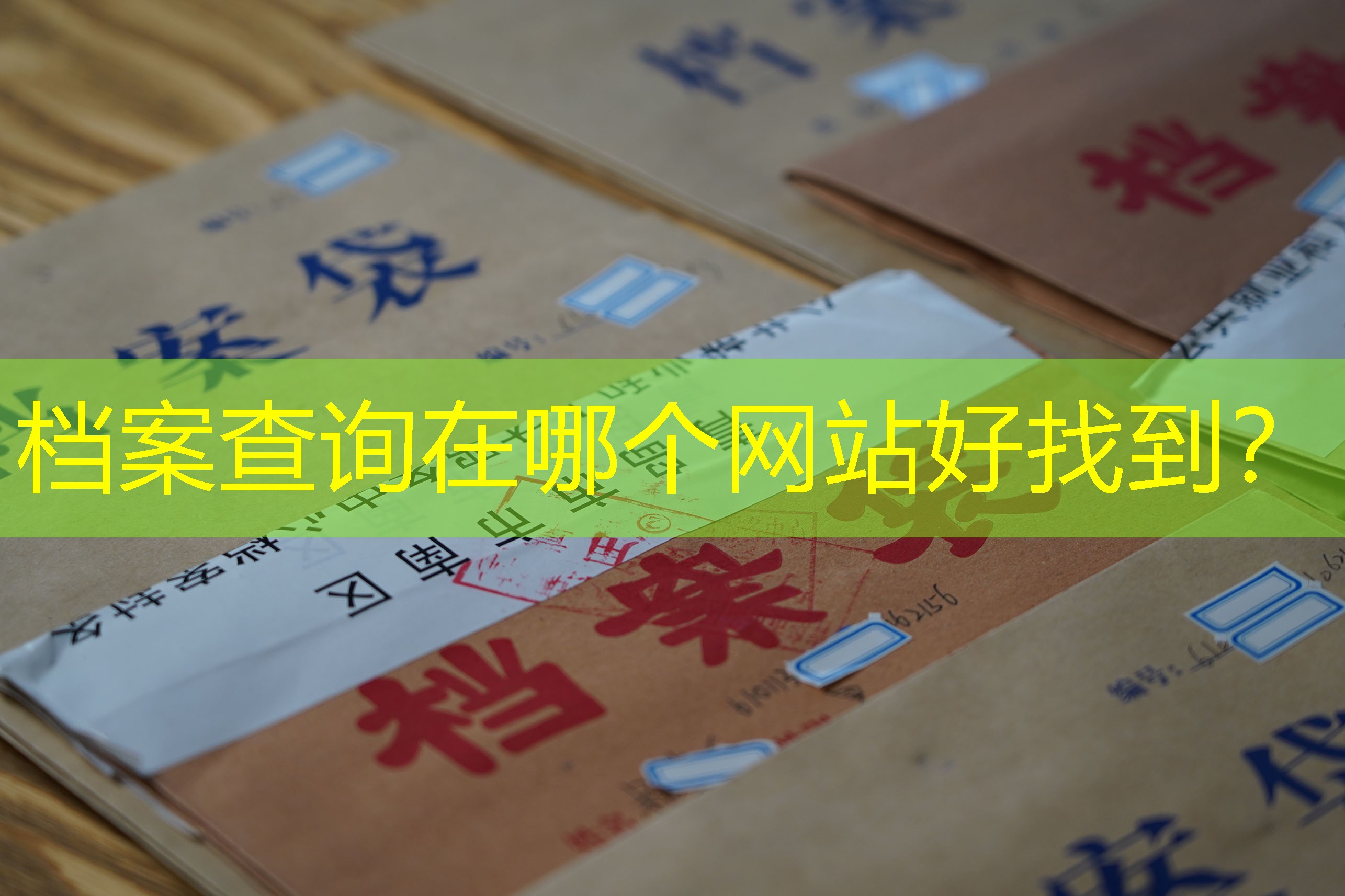 档案查询