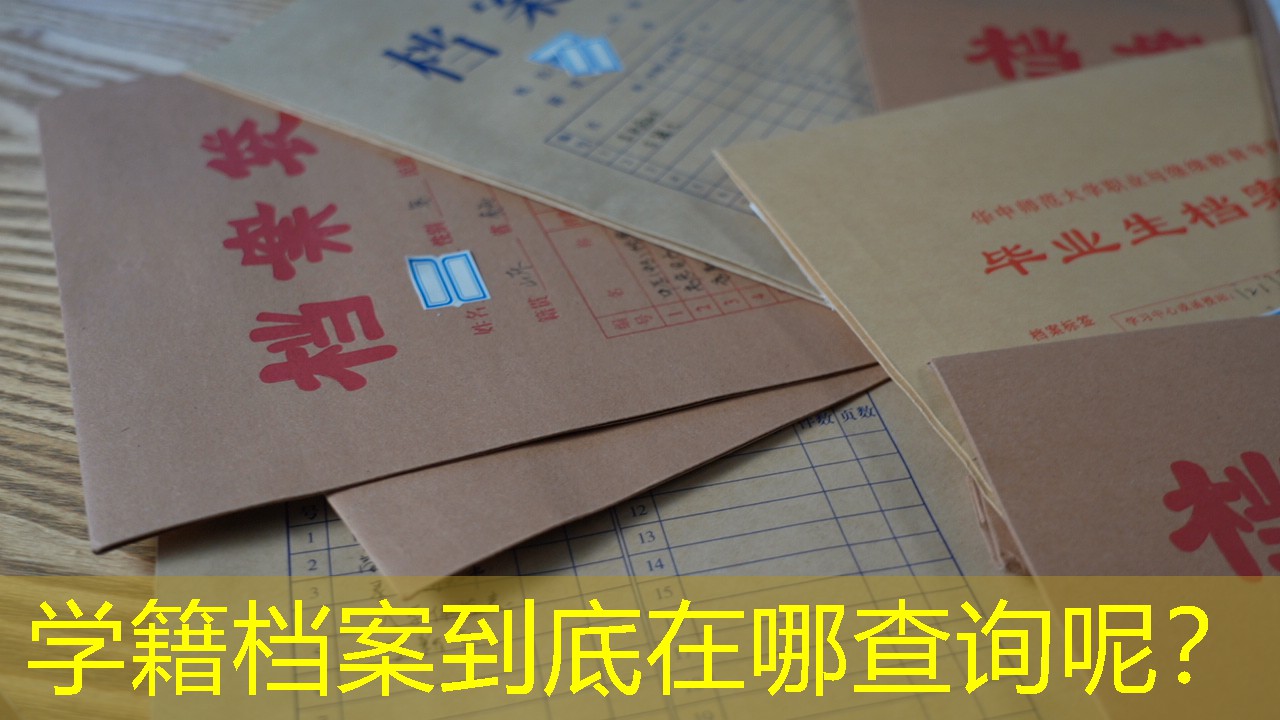档案查询