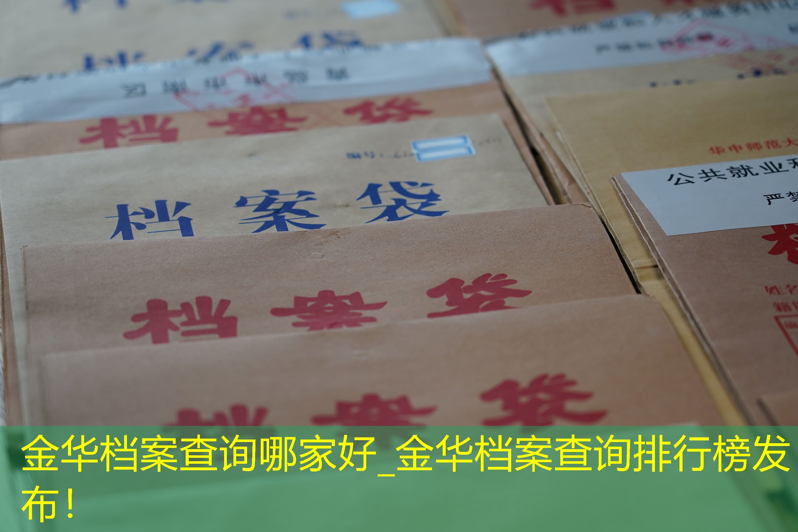 档案查询