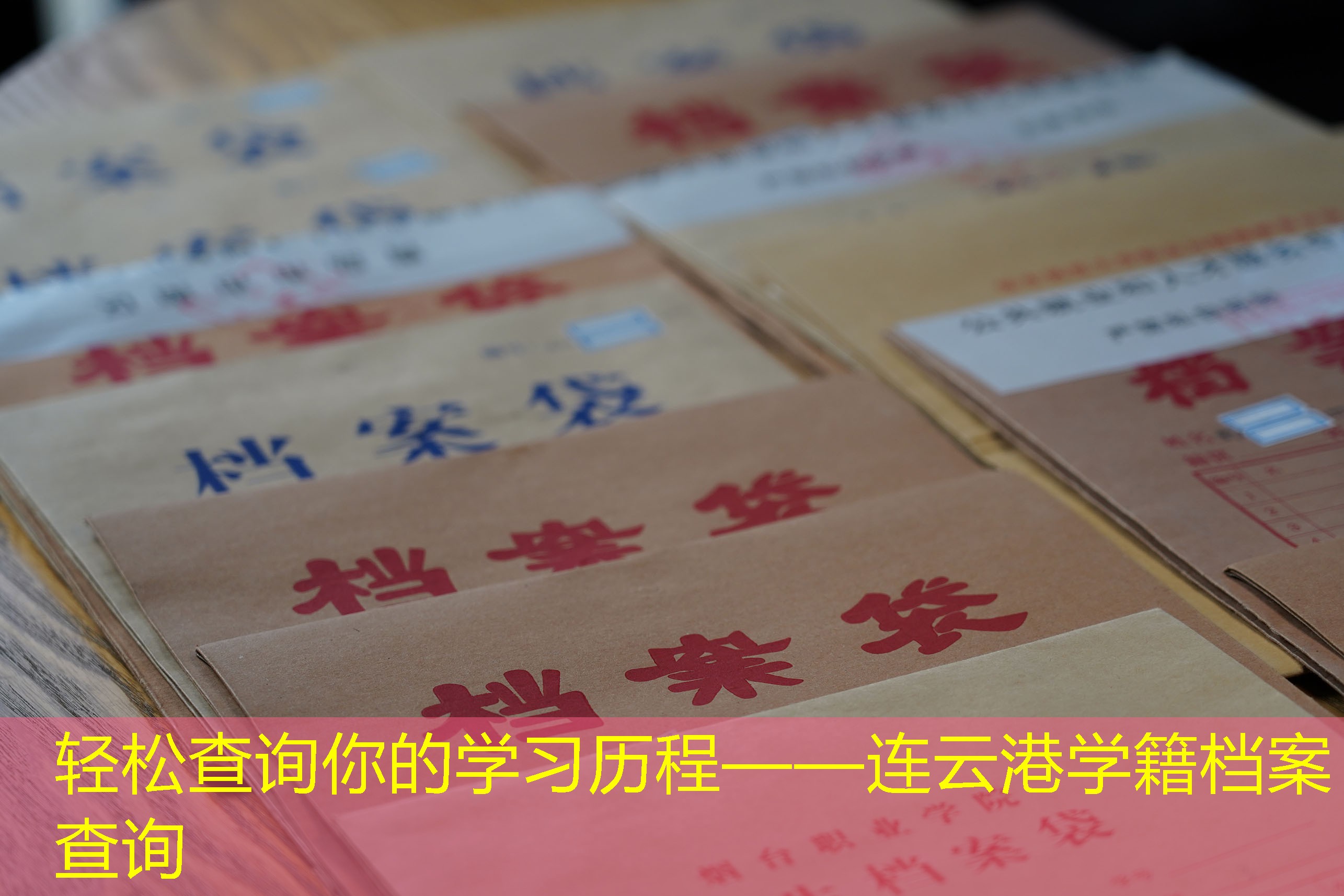 档案查询
