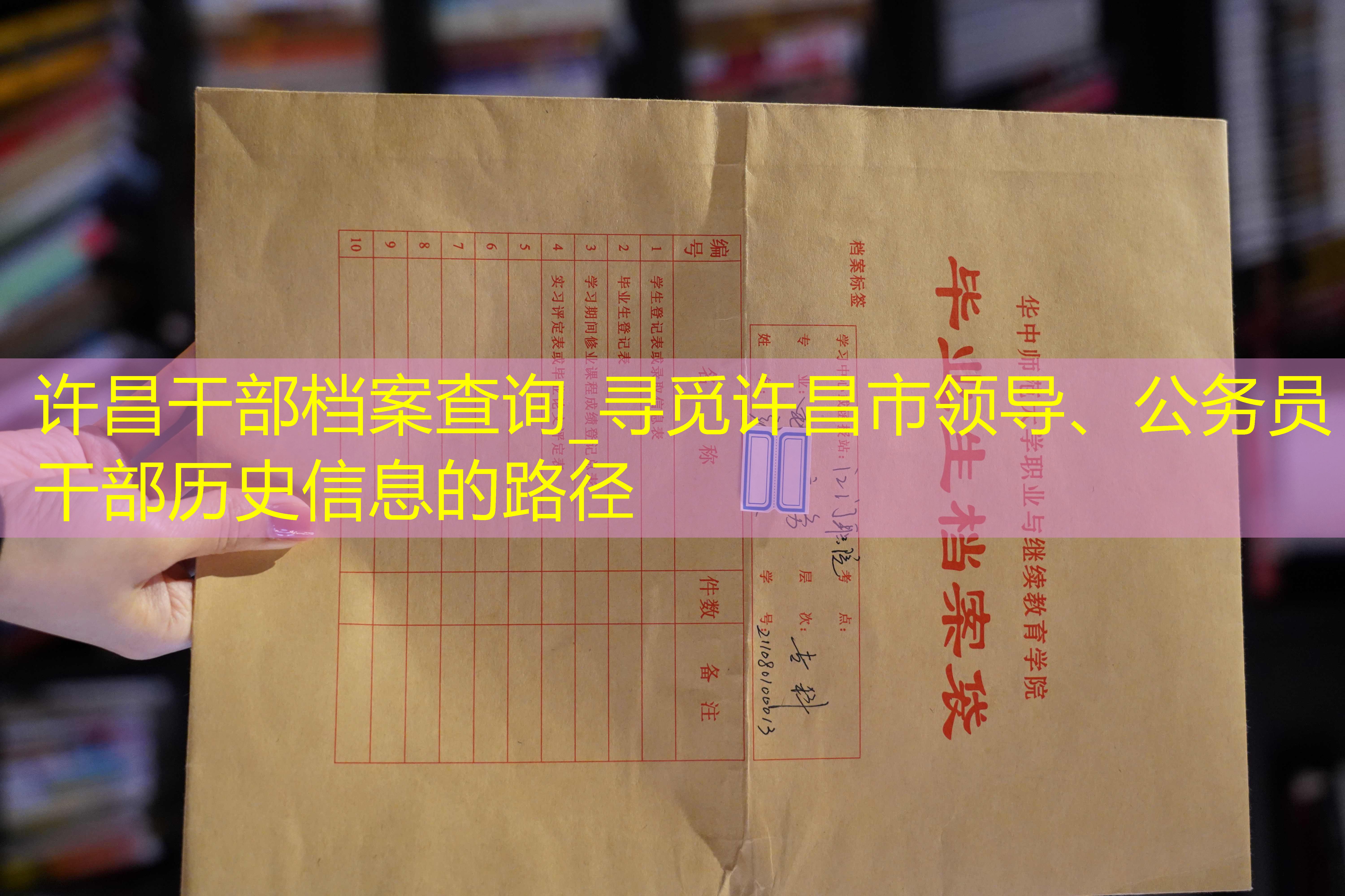 档案查询