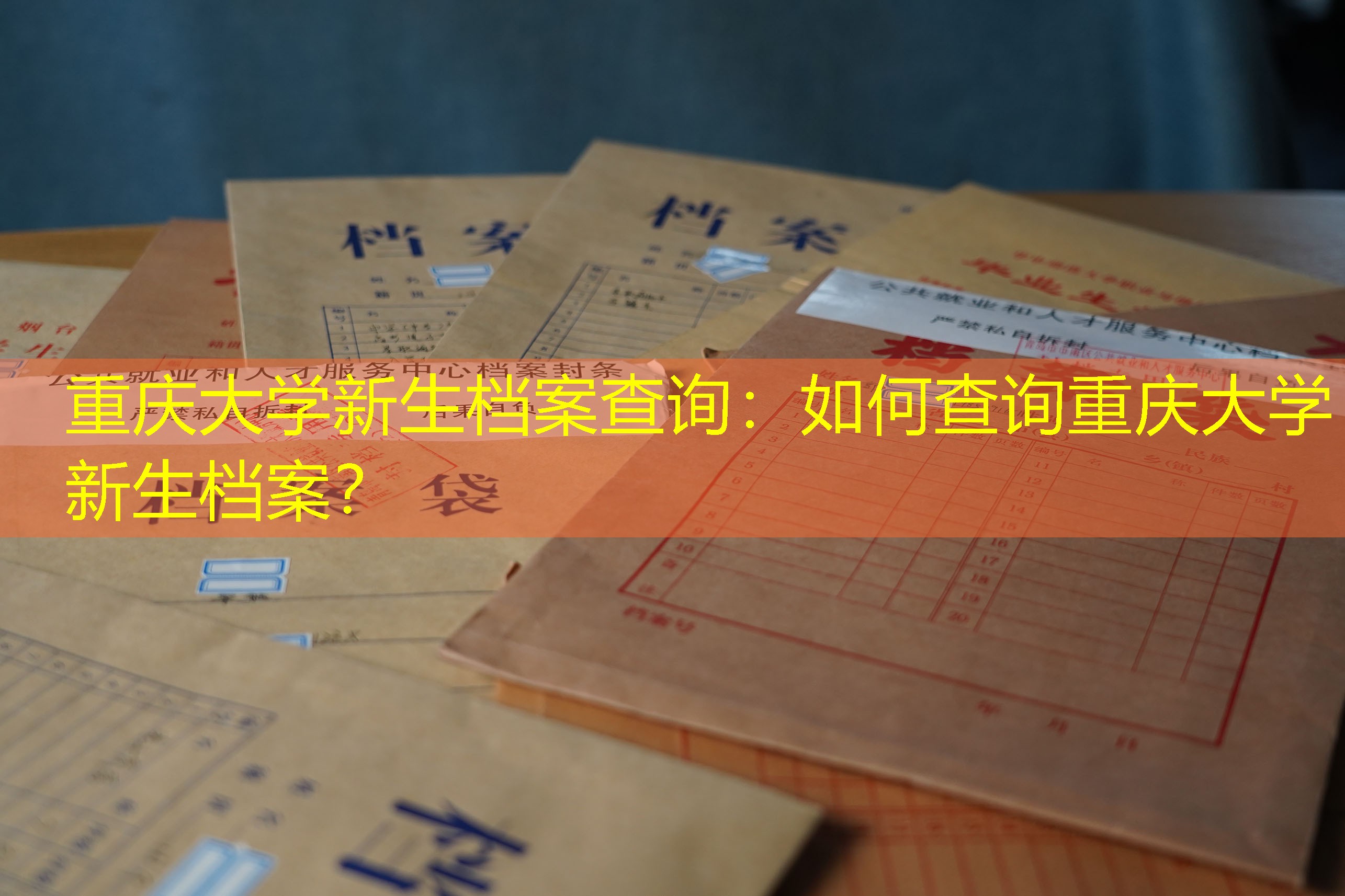 档案查询